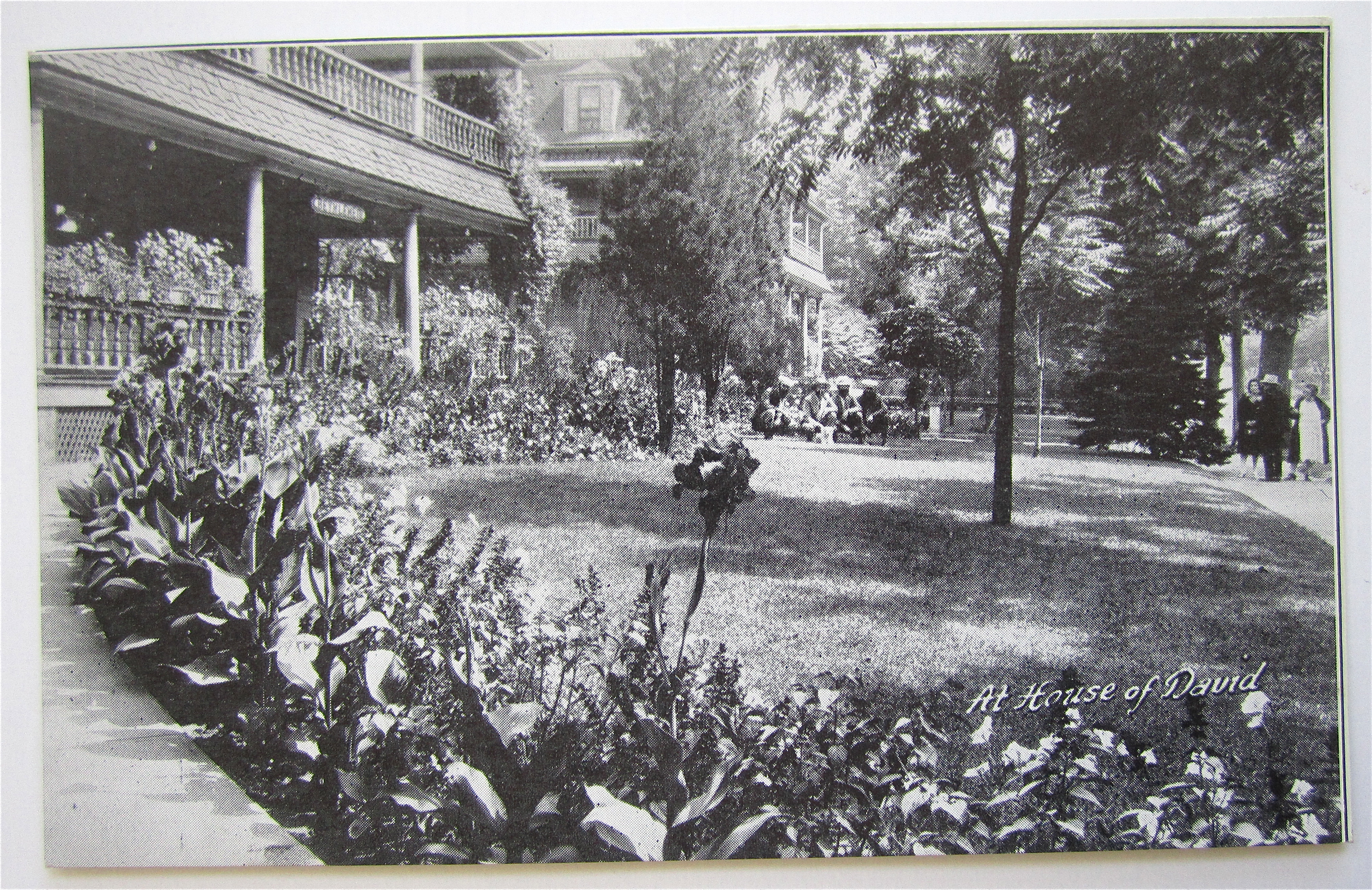 At House Of David, Benton Harbor, Michigan Postcard