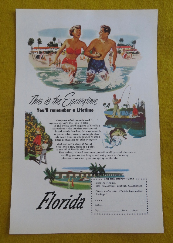 1950 Florida With The Spring Time