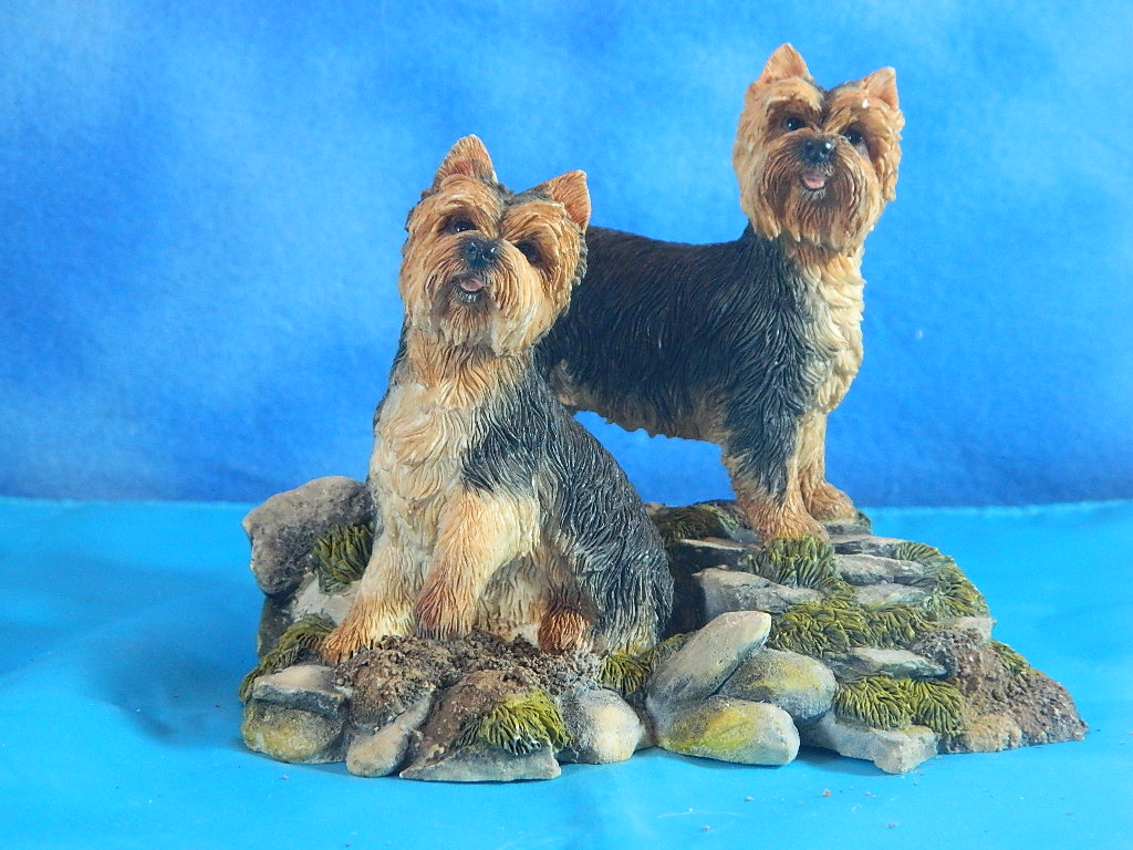 Sherratt & Simpson Yorkshire Terrier Pair