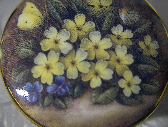 Primroses & Violets STAFFORDSHIRE Box