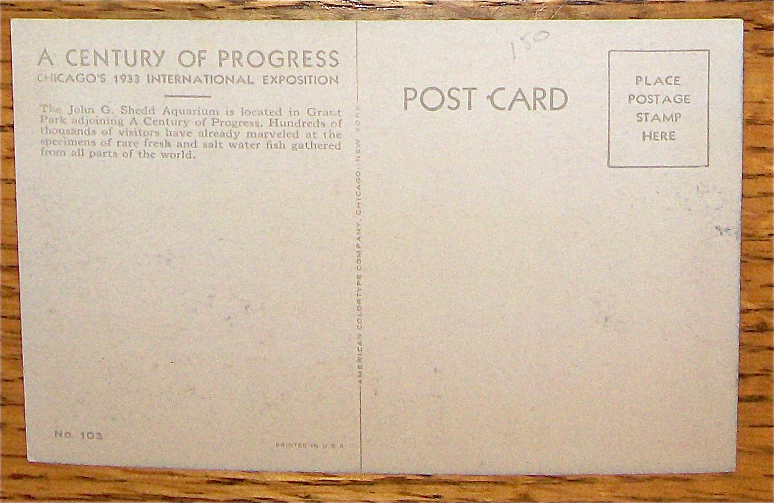 Shedd Aquarium Postcard (Century Of Progress)