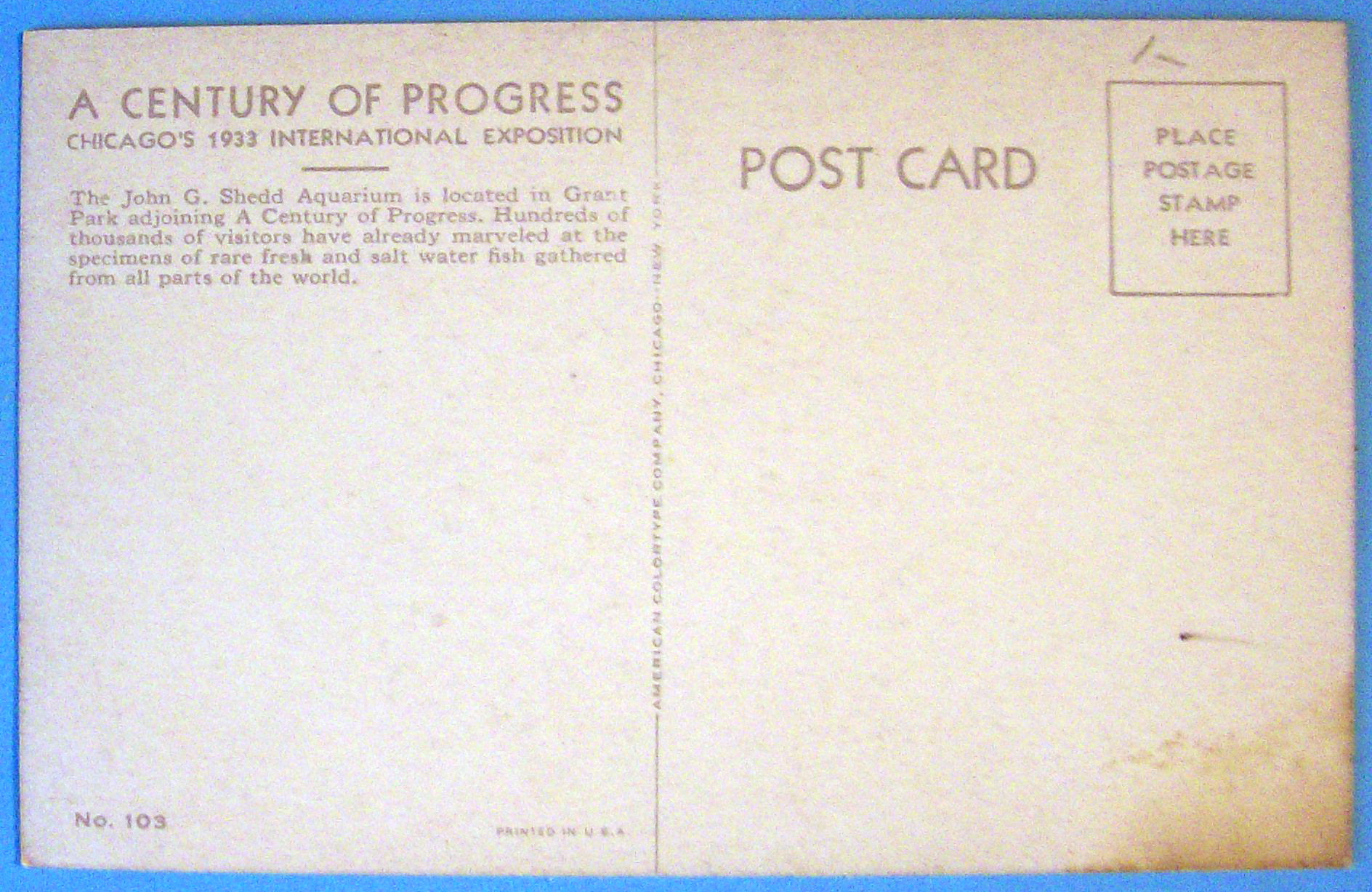 Shedd Aquarium Postcard (Century Of Progress)