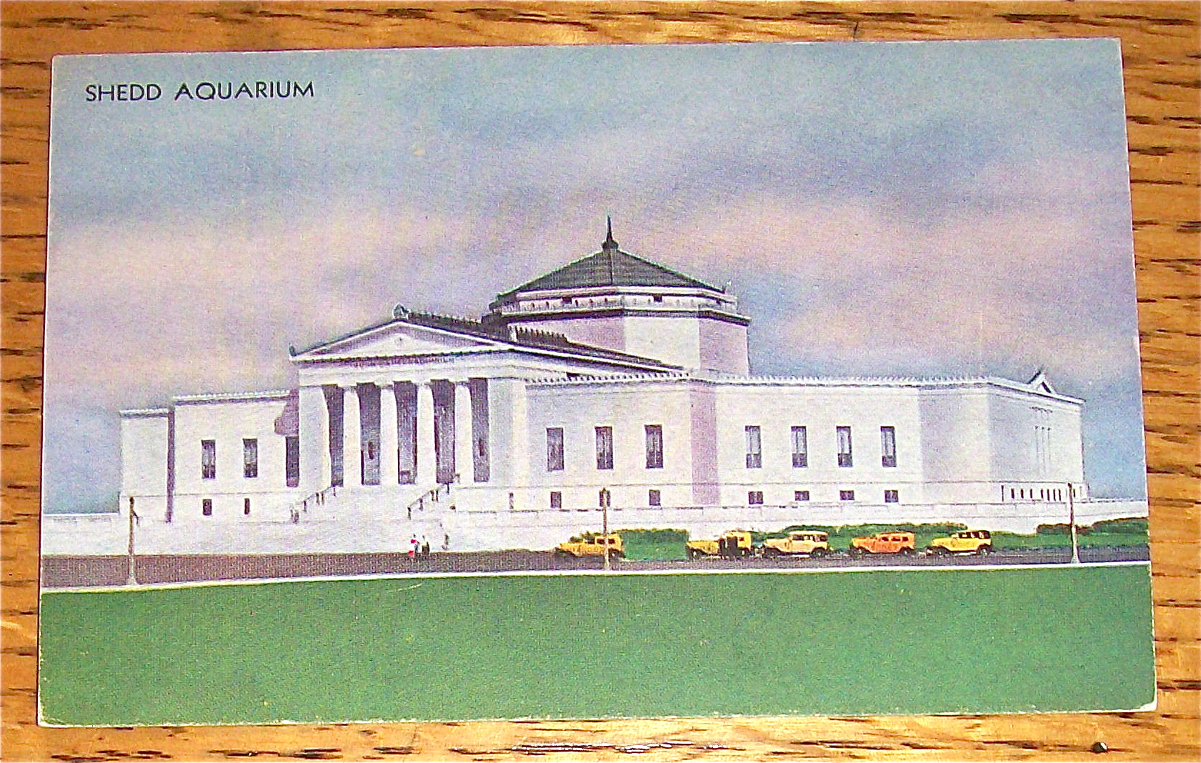 Shedd Aquarium Postcard (Century Of Progress)
