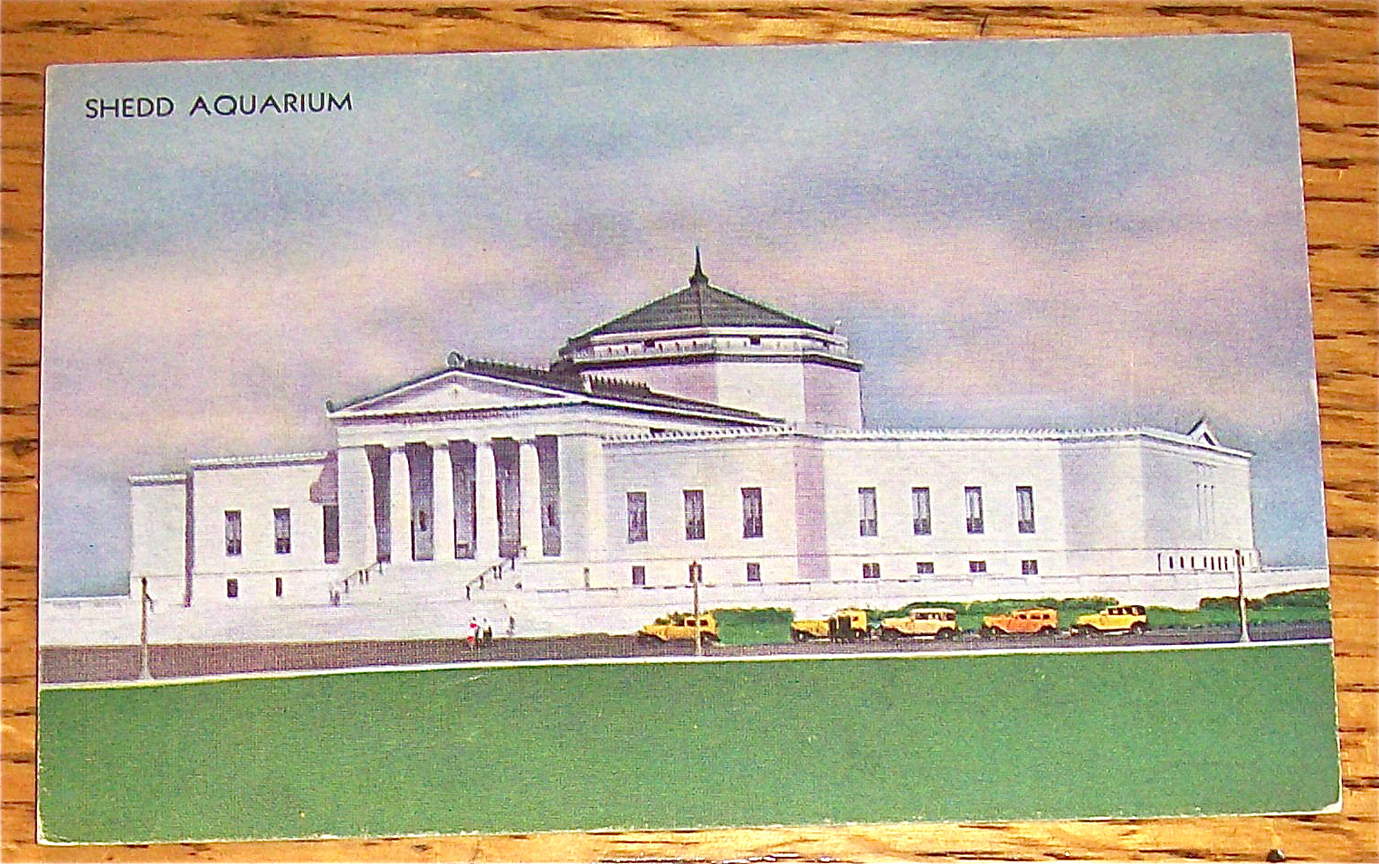 Shedd Aquarium Postcard (Century Of Progress)