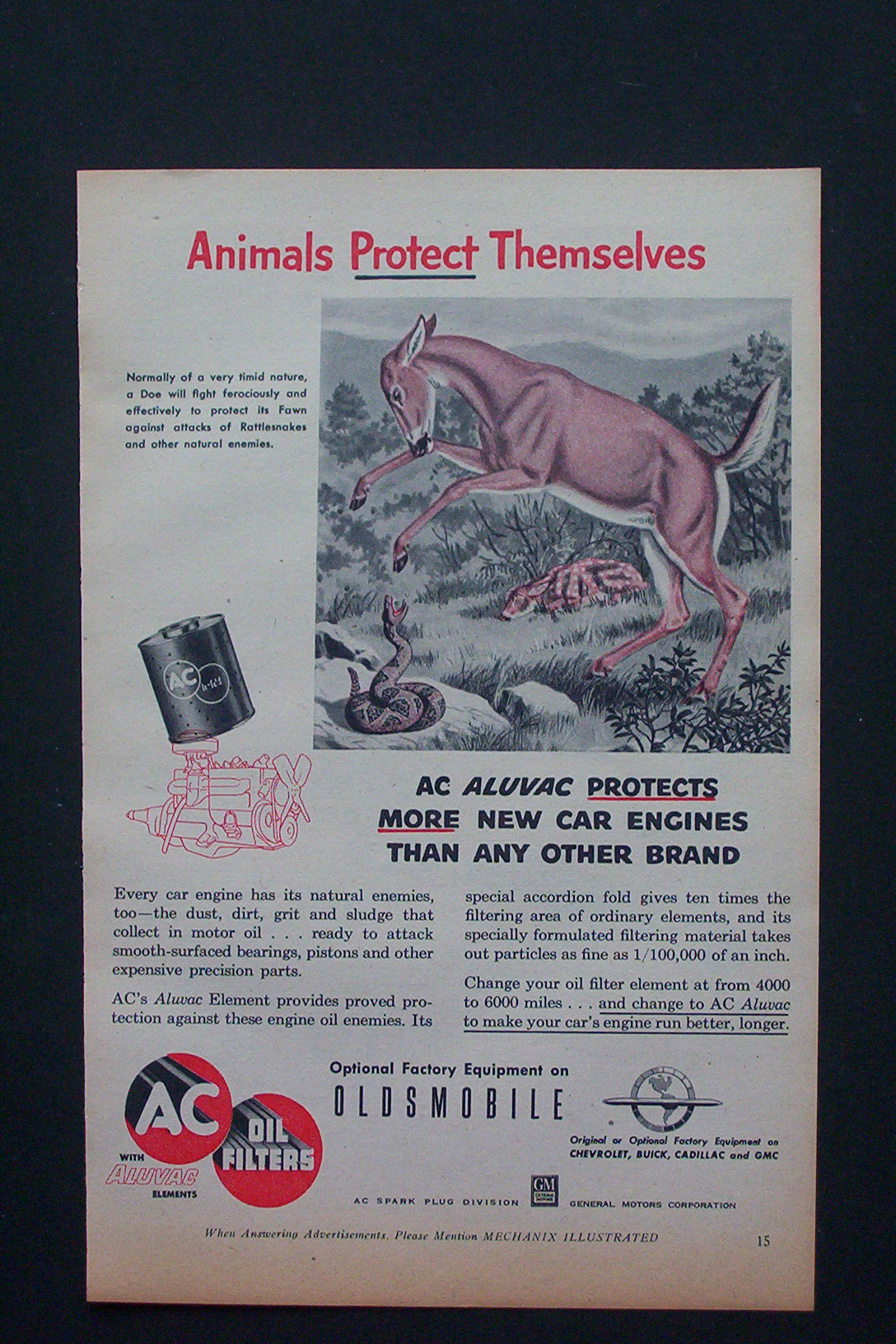 1954  AC Oil Filters with Animals Protect Themselves