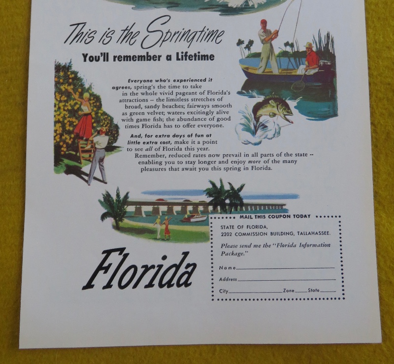 1950 Florida With The Spring Time