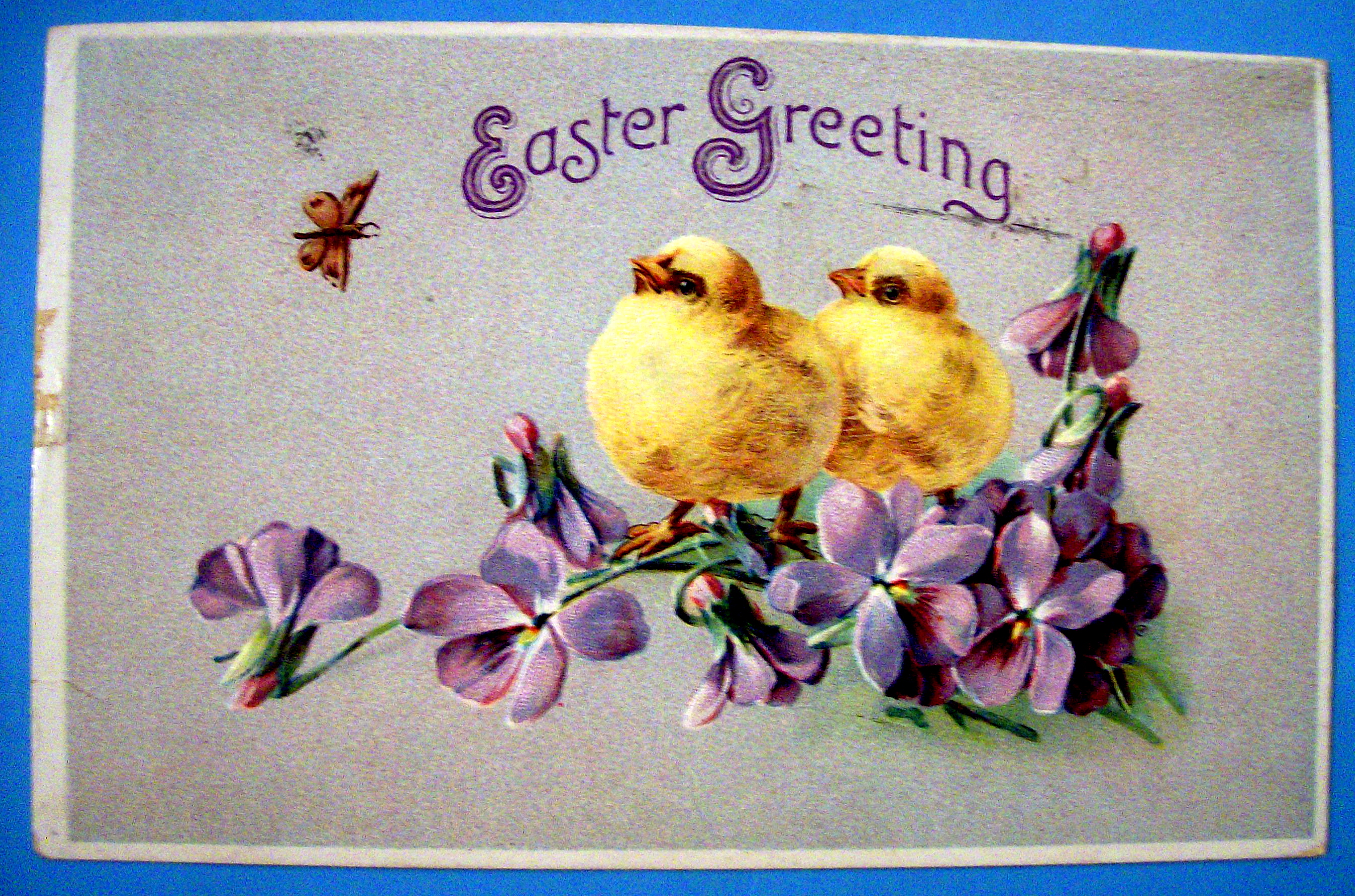 Easter Greeting Postcard with Two Chicks