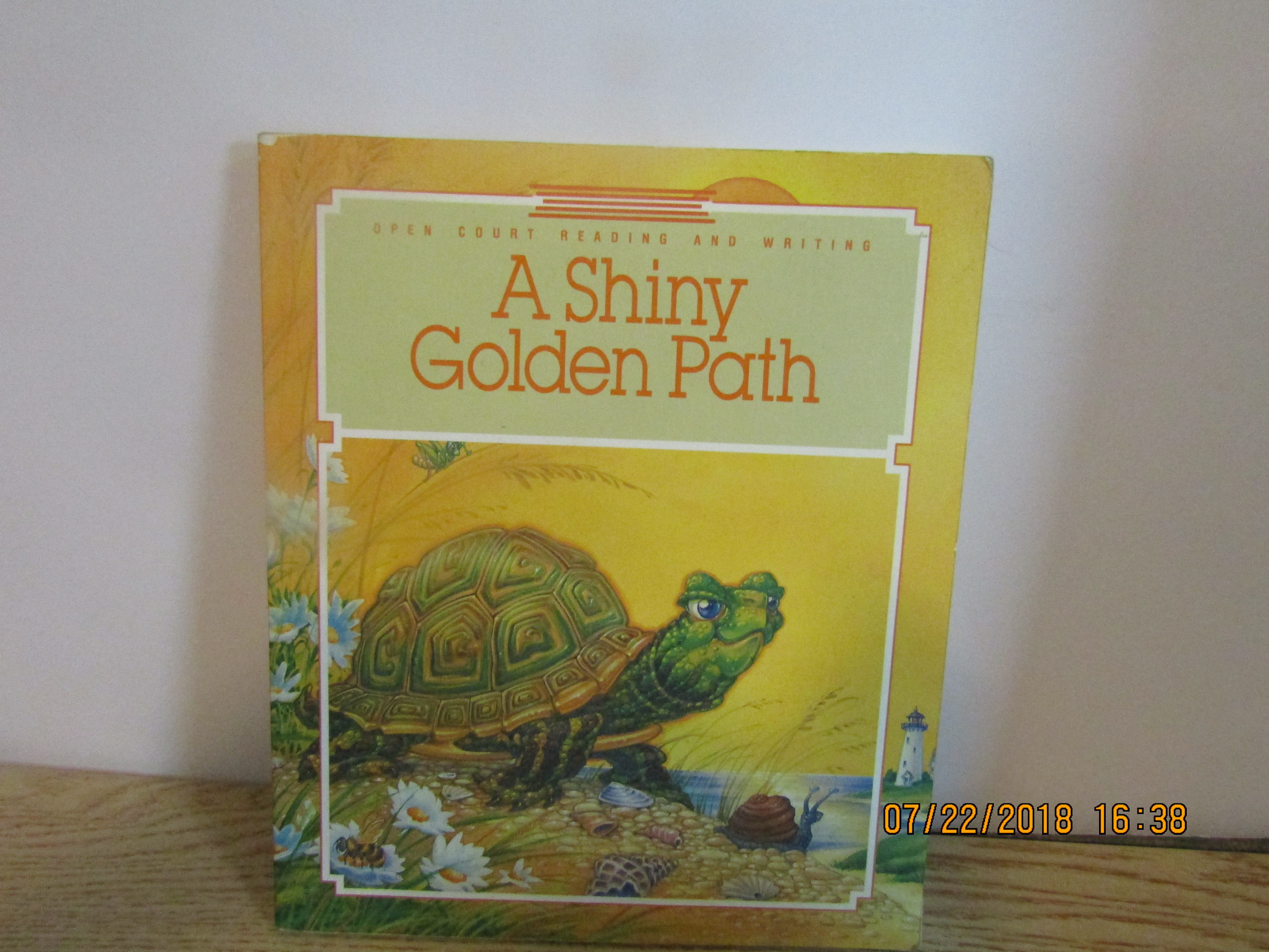 Children's Early Readers Book A Shiny Golden Path