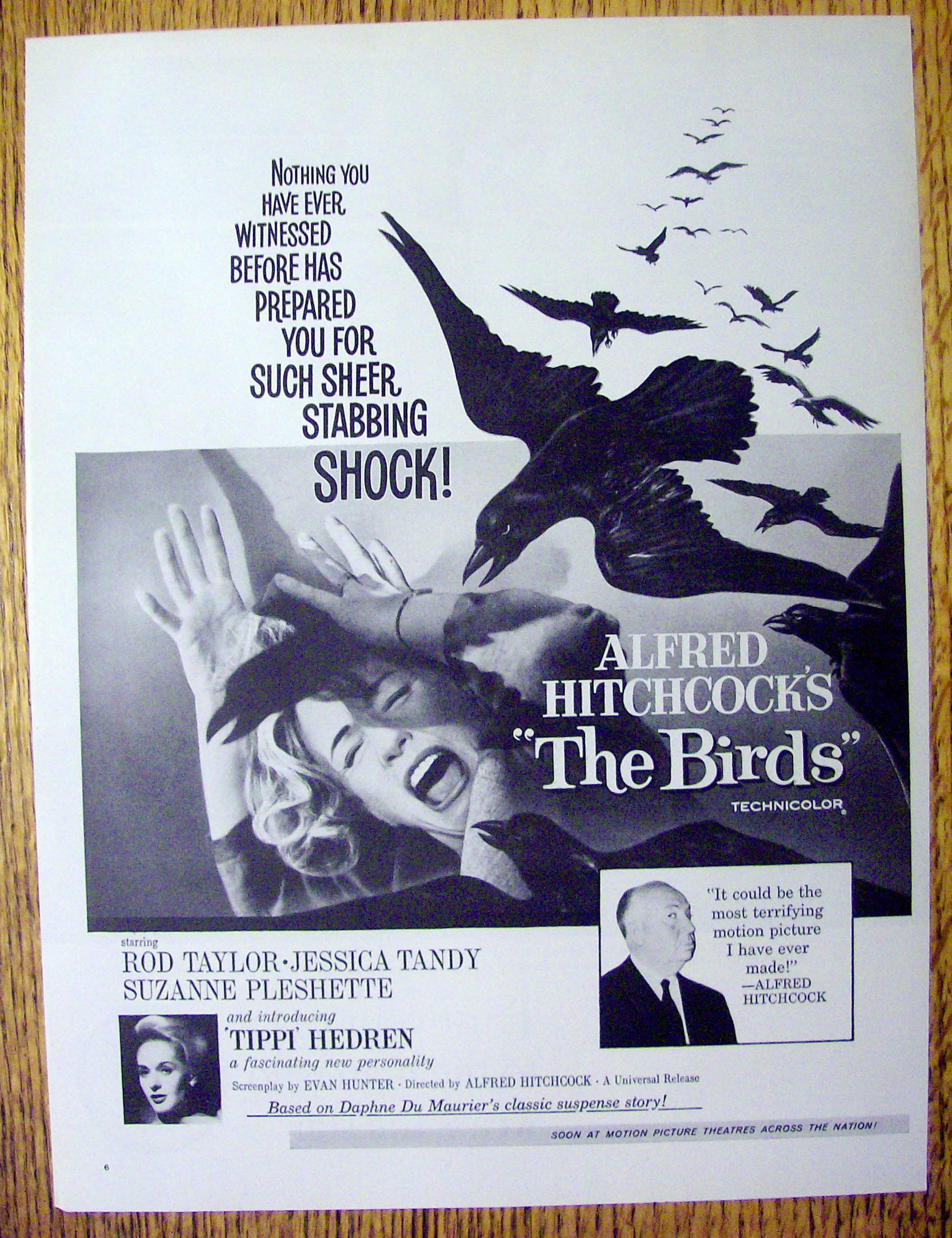 1963 Alfred Hitchcock's The Birds with Woman & Birds