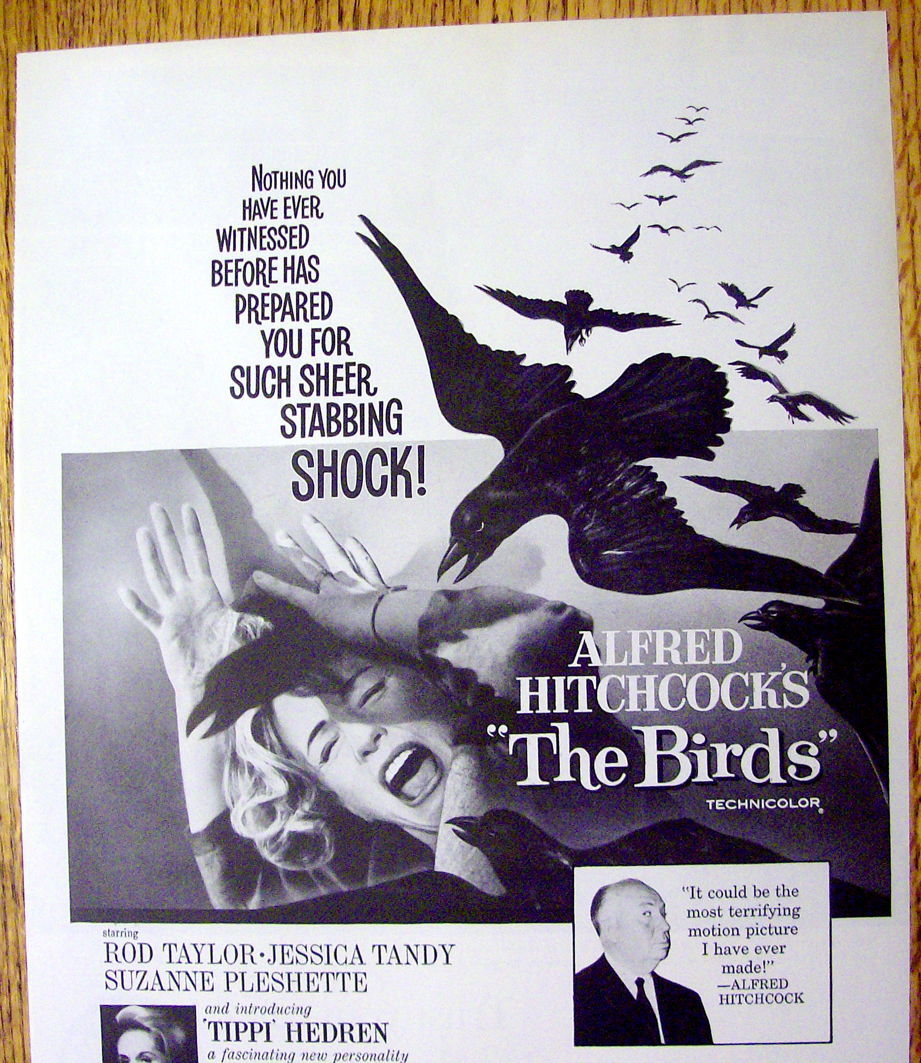 1963 Alfred Hitchcock's The Birds with Woman & Birds