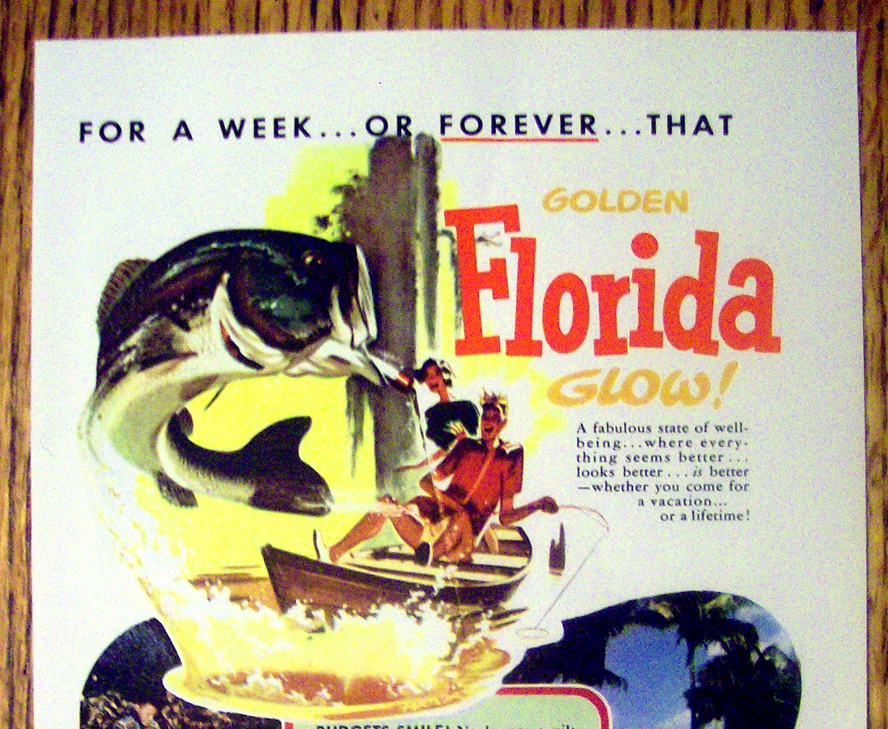 1954 Golden Florida Glow with Man Fishing In A Boat
