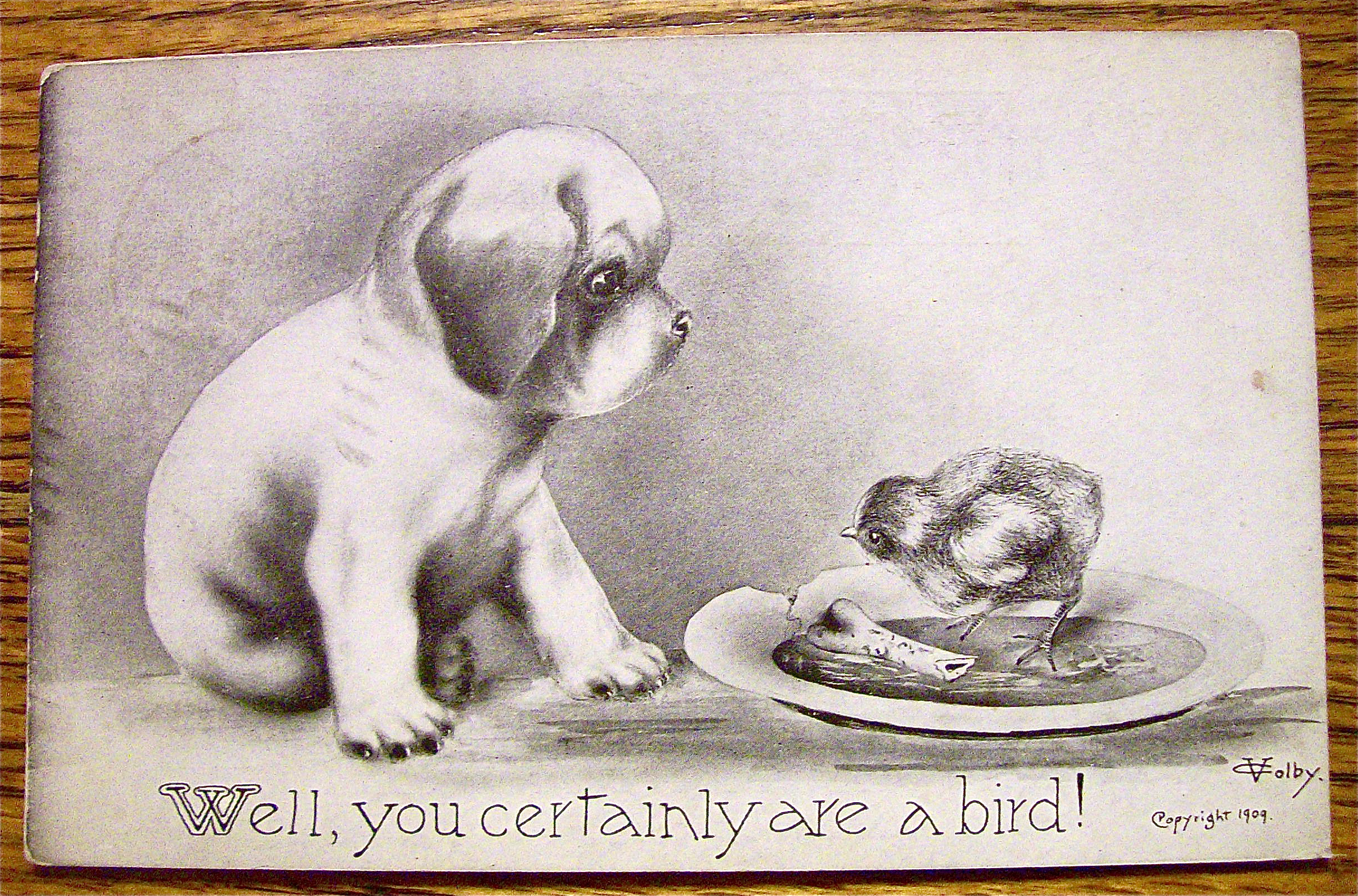 A Puppy Looking At A Bird Postcard
