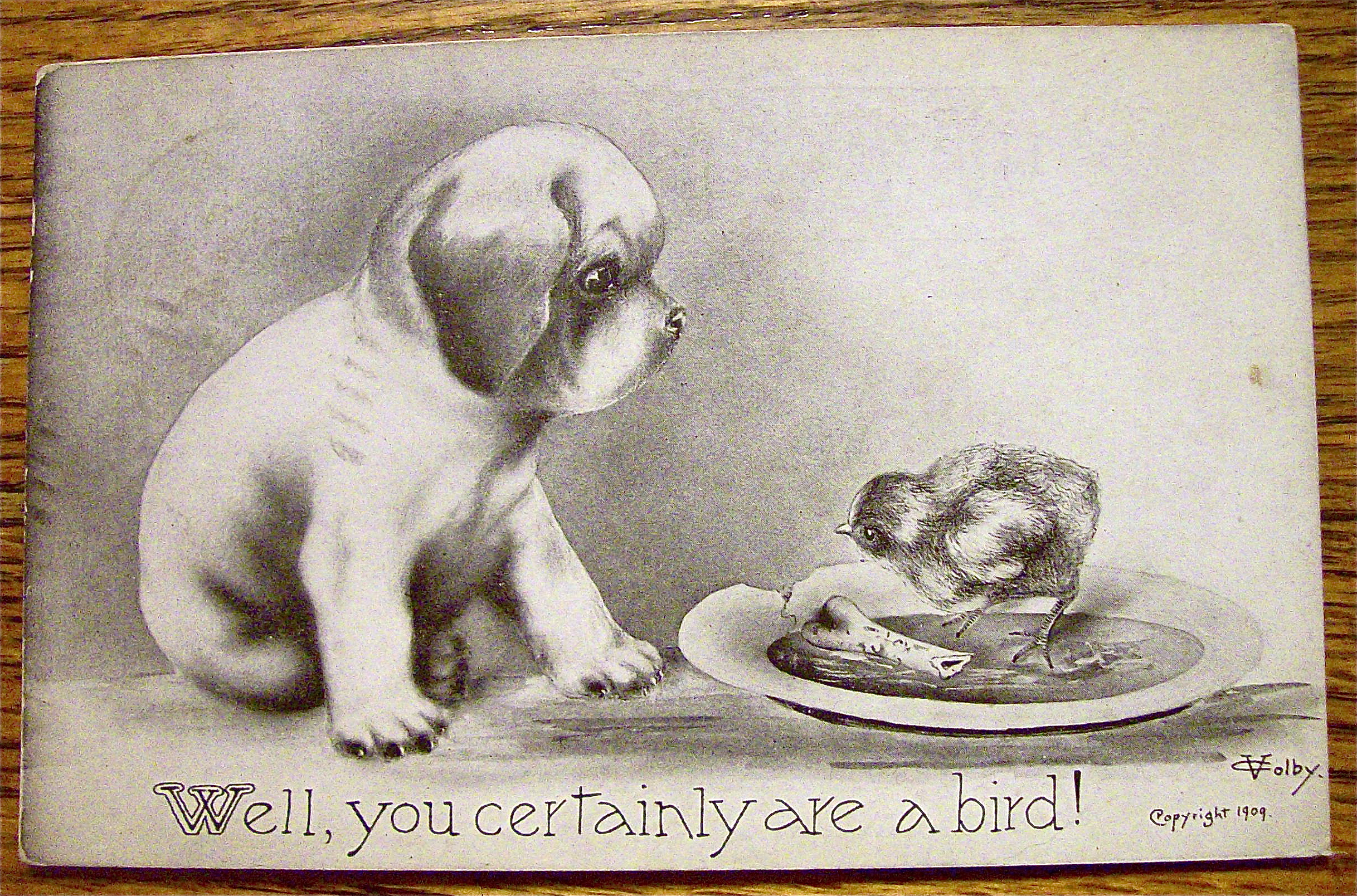 A Puppy Looking At A Bird Postcard