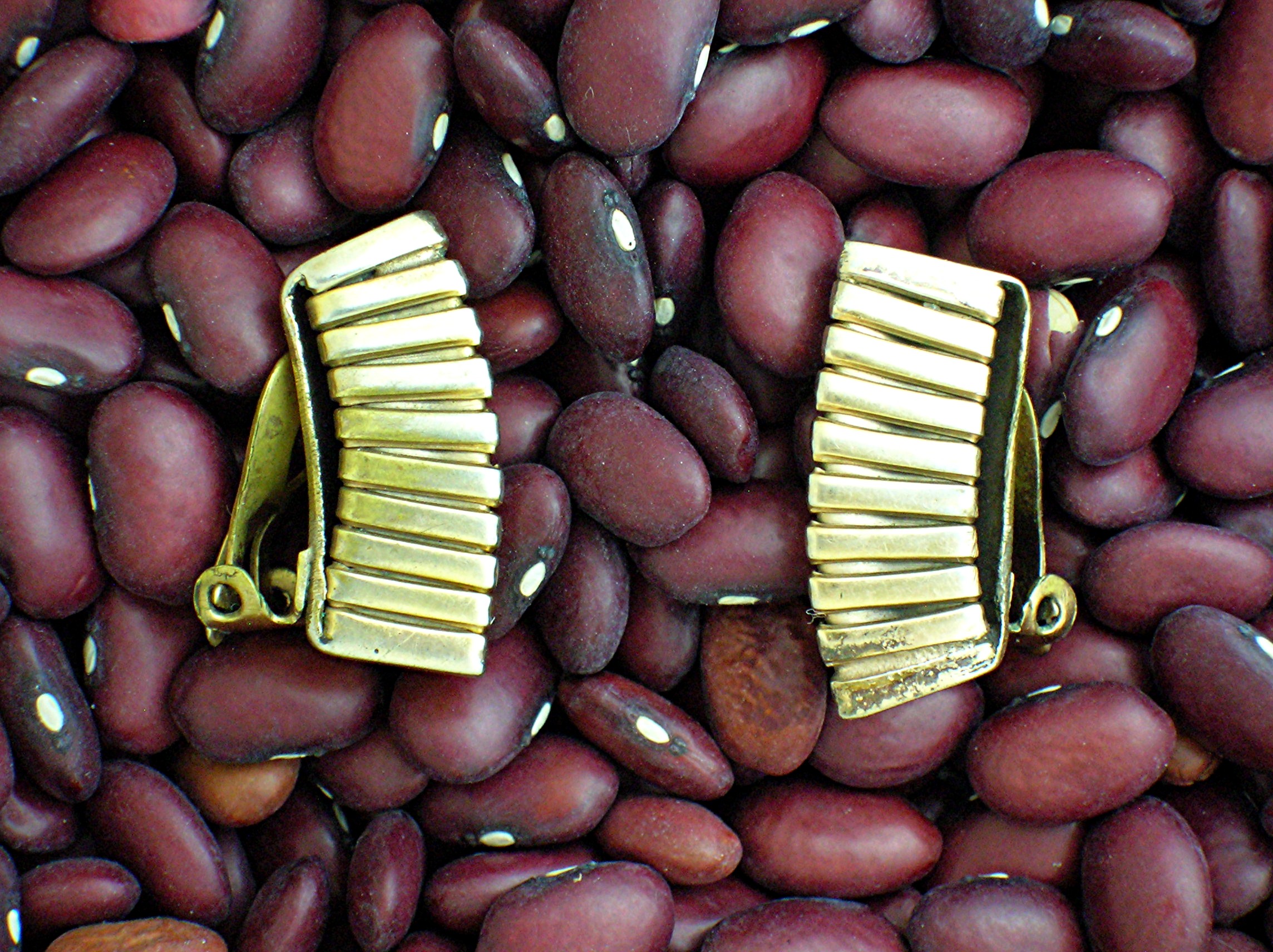 Beautiful Goldtone Clip Argentina Earrings