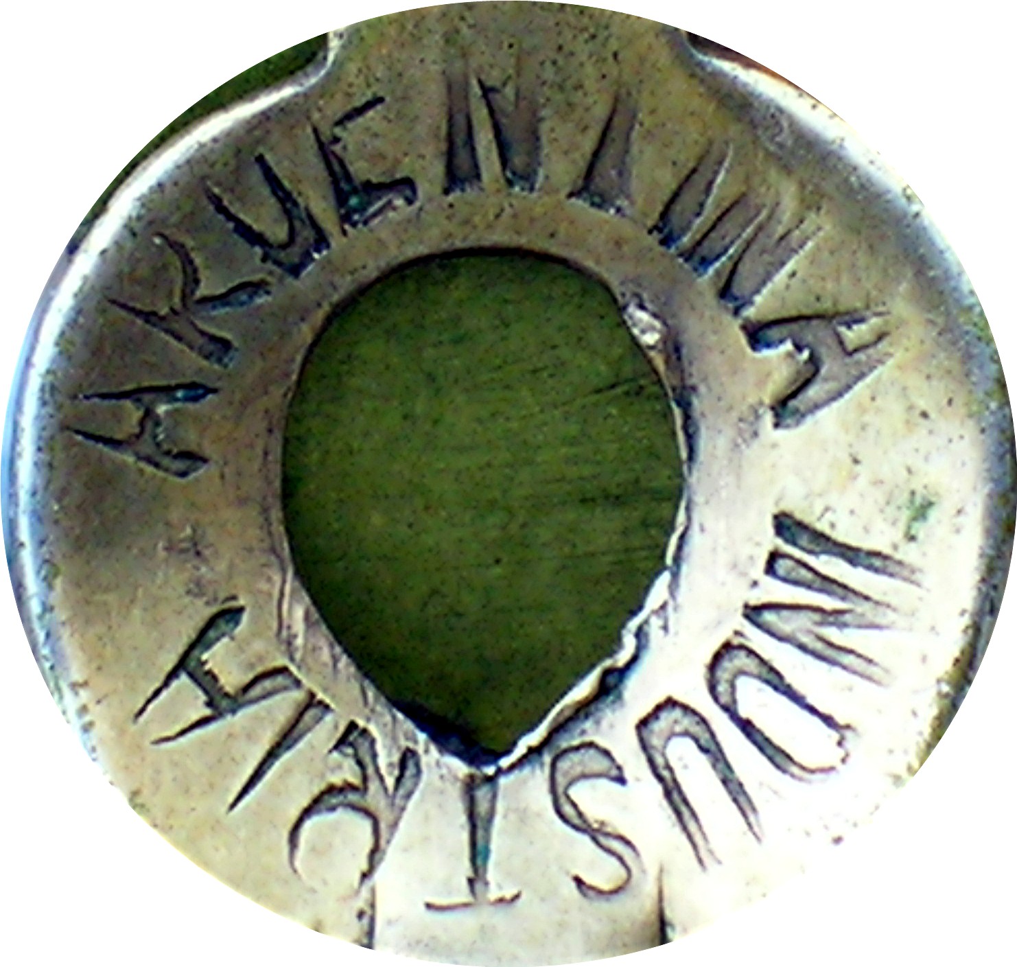 Beautiful Goldtone Clip Argentina Earrings
