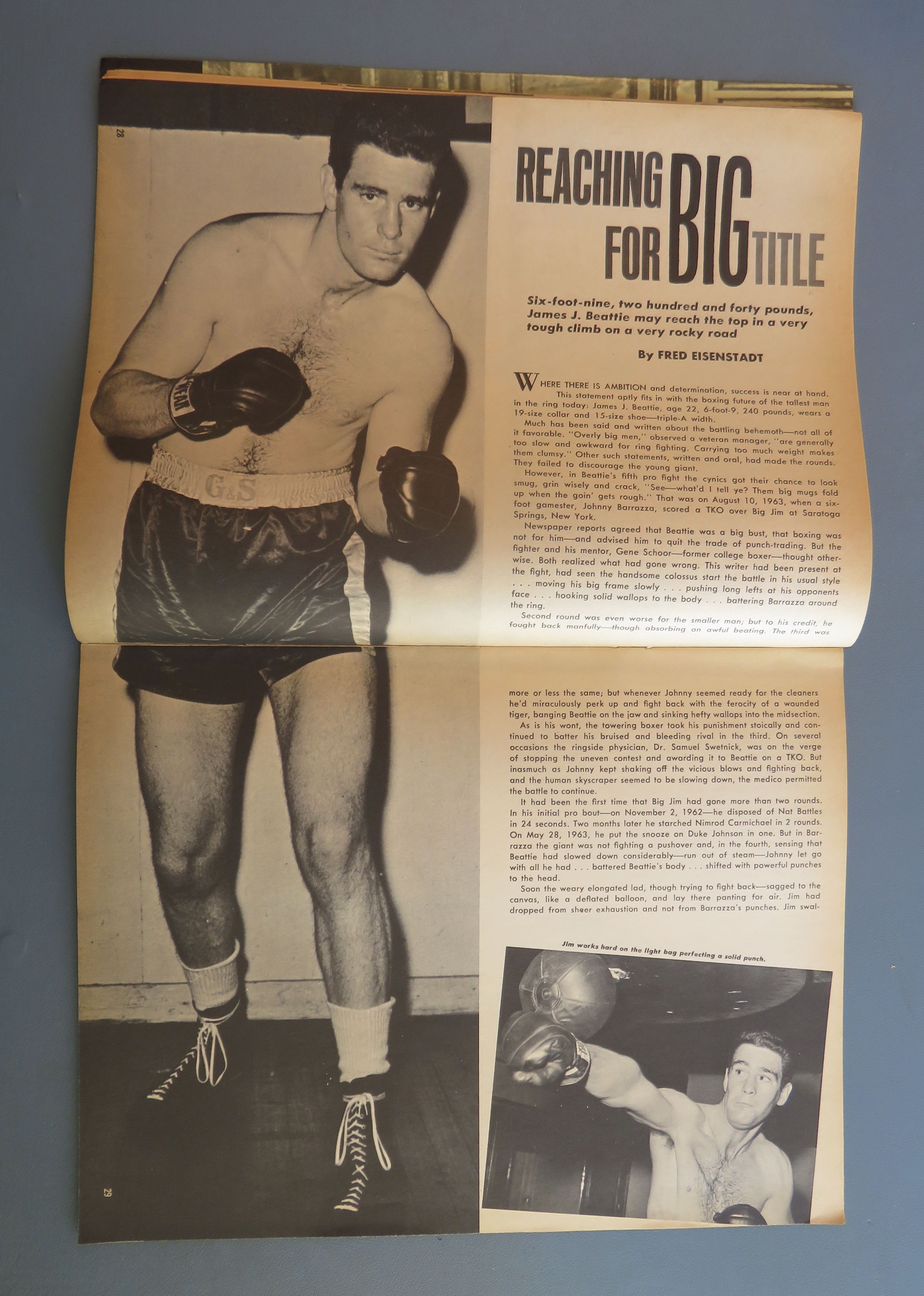 Boxing Illustrated Wrestling News Magazine January 1965