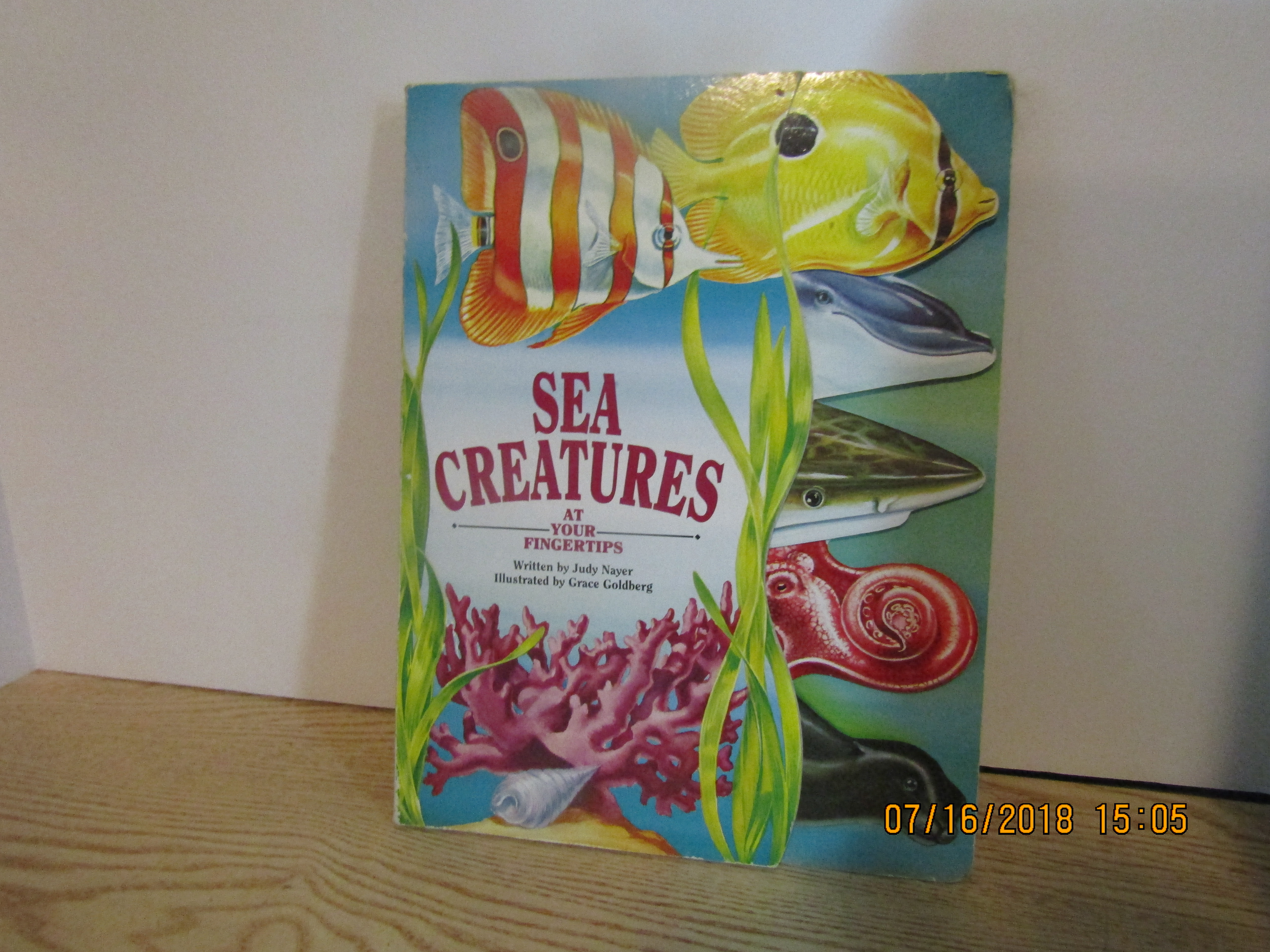 Children's Board Book Sea Creatures At Your Fingertips