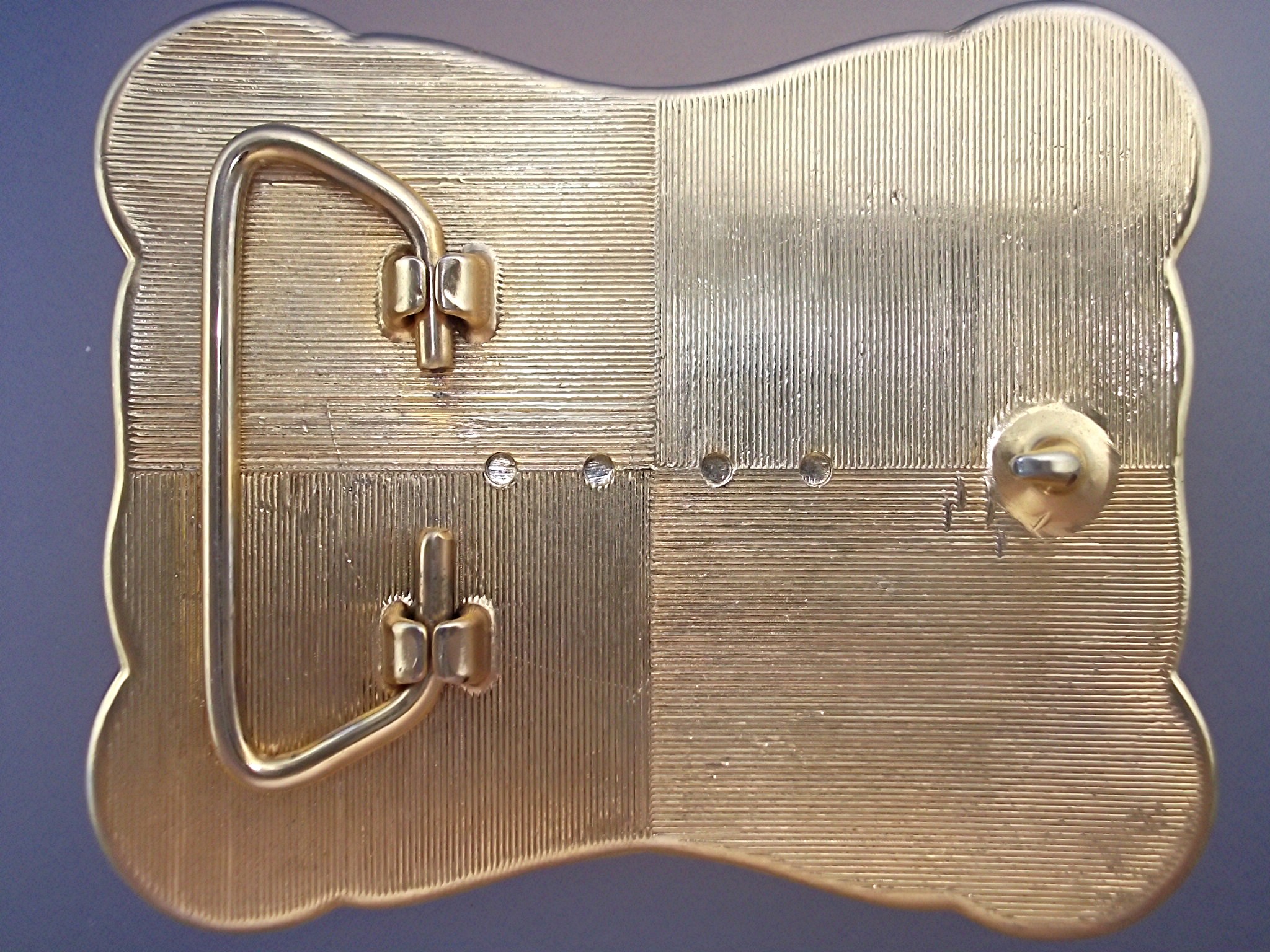 Belt Buckle cabachon stones