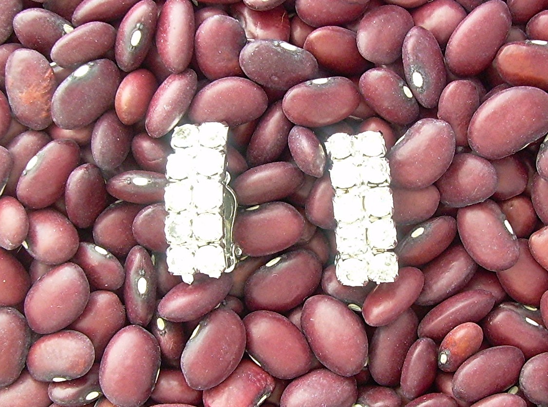 Sparkling Rhinestone Encrusted Clip Earrings