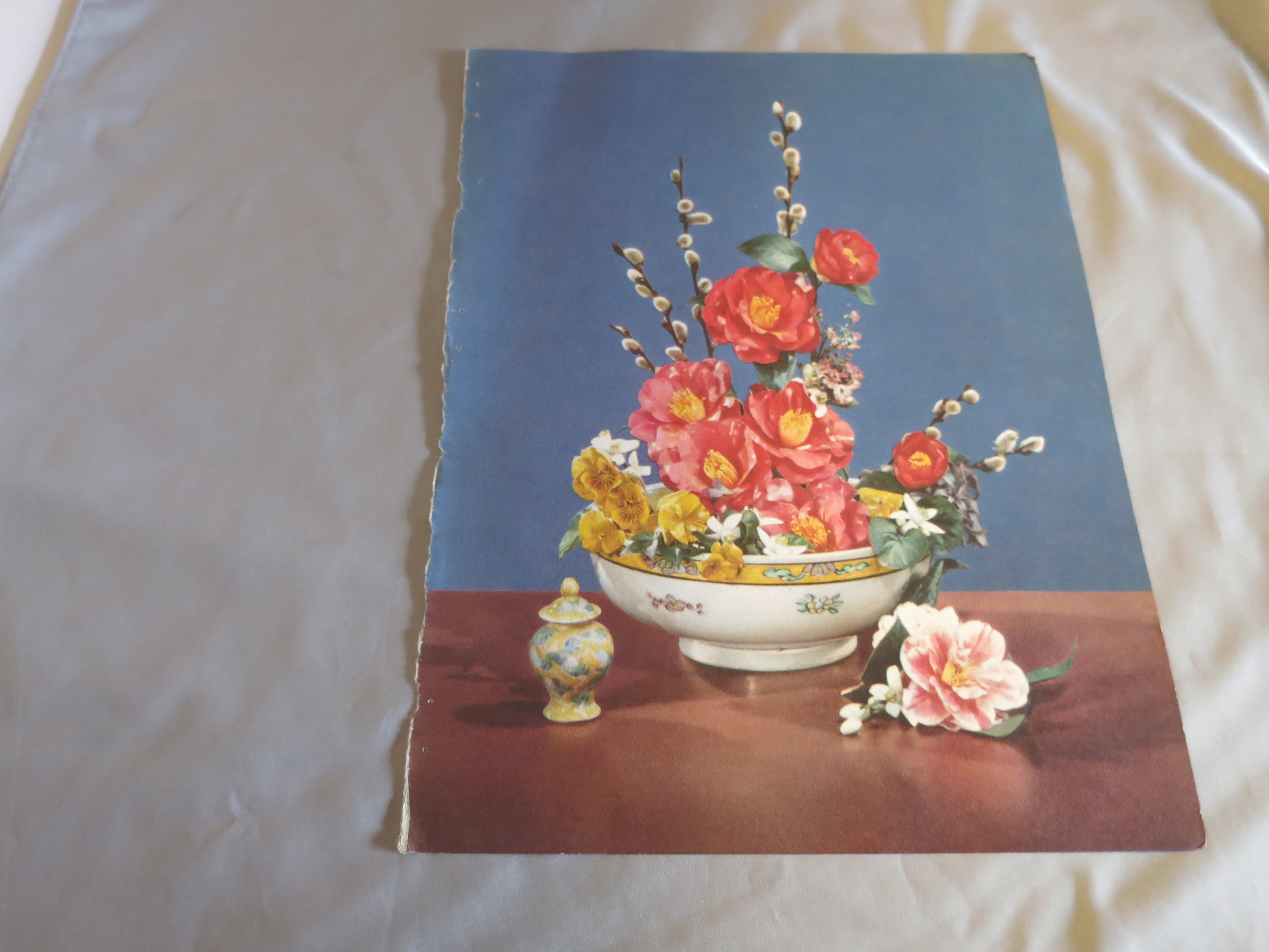 Rose Pussy Willow Bouquet Lithograph Book Print 1950