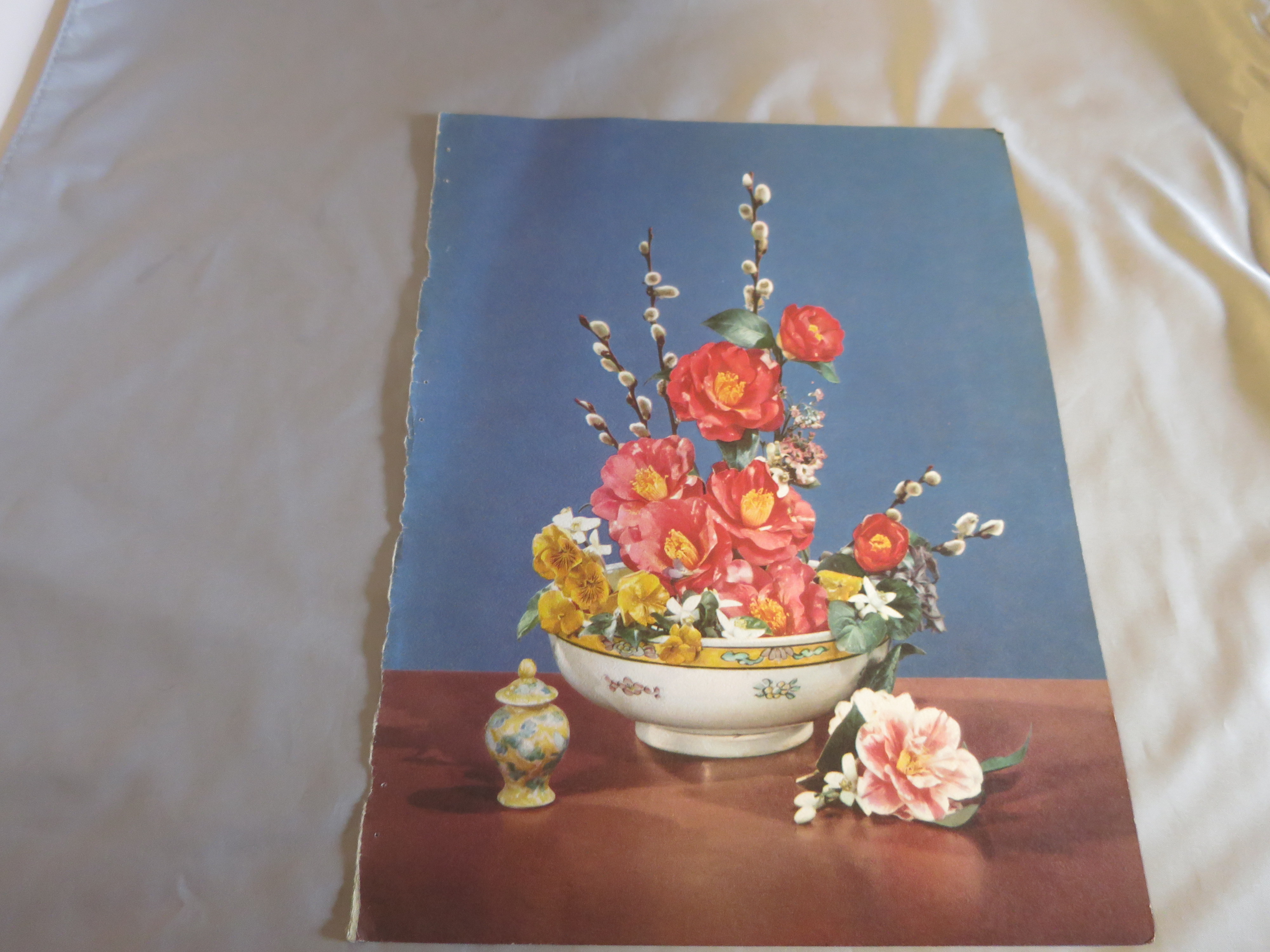 Rose Pussy Willow Bouquet Lithograph Book Print 1950