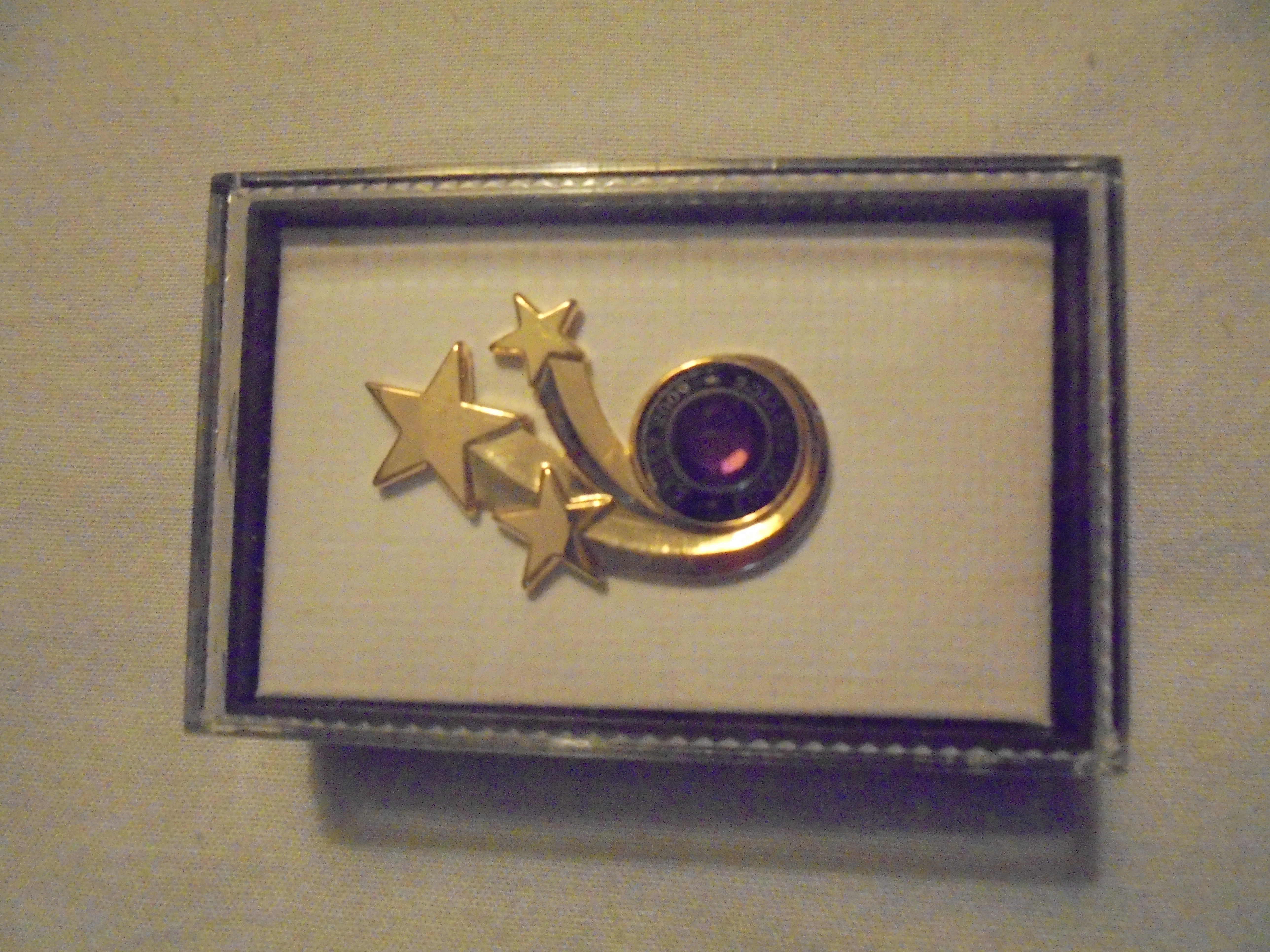Abbey Food Service 2009 Lapel Pin W/Box