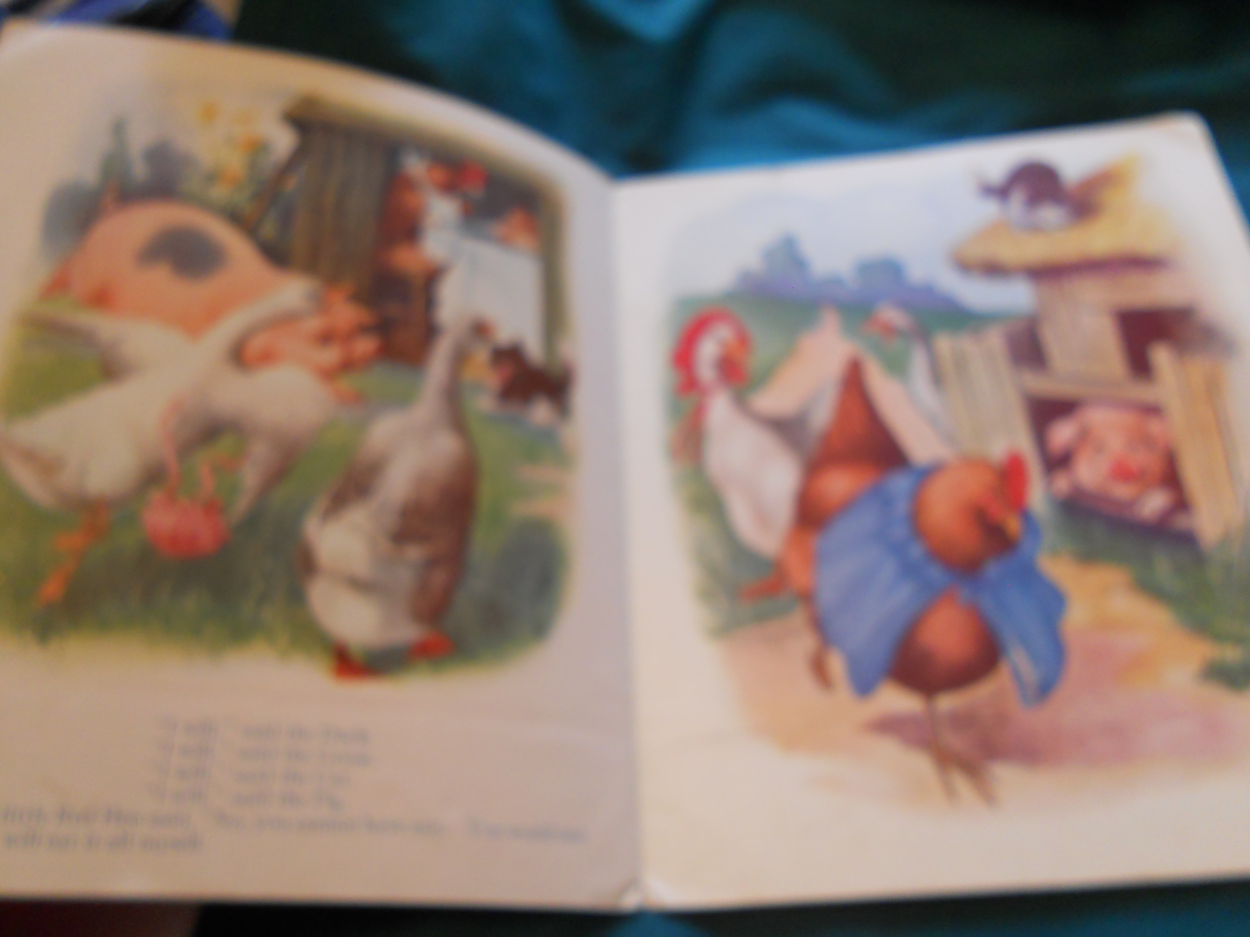 The Little Red Hen Book S. Gabriel & Sons