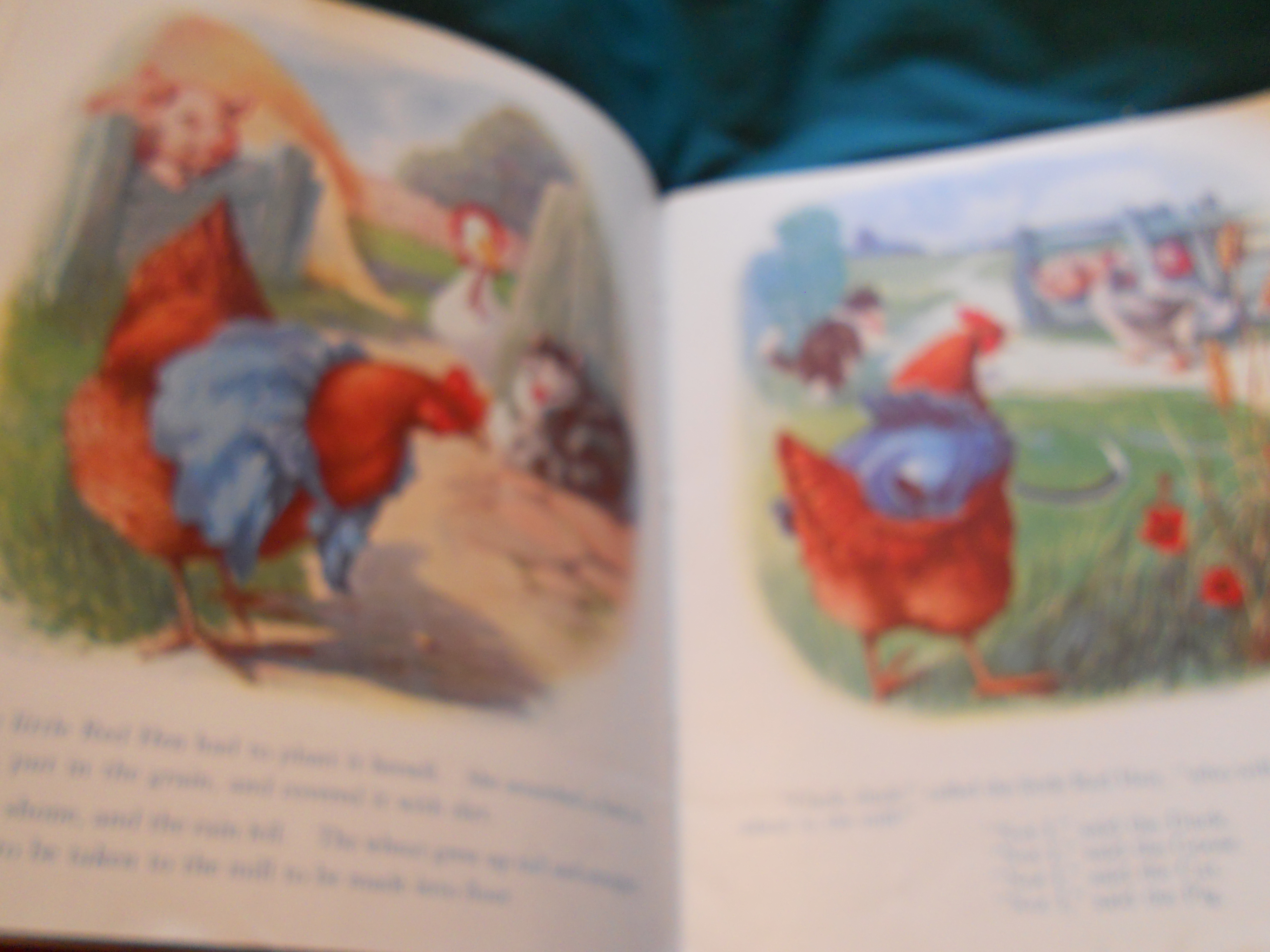 The Little Red Hen Book S. Gabriel & Sons