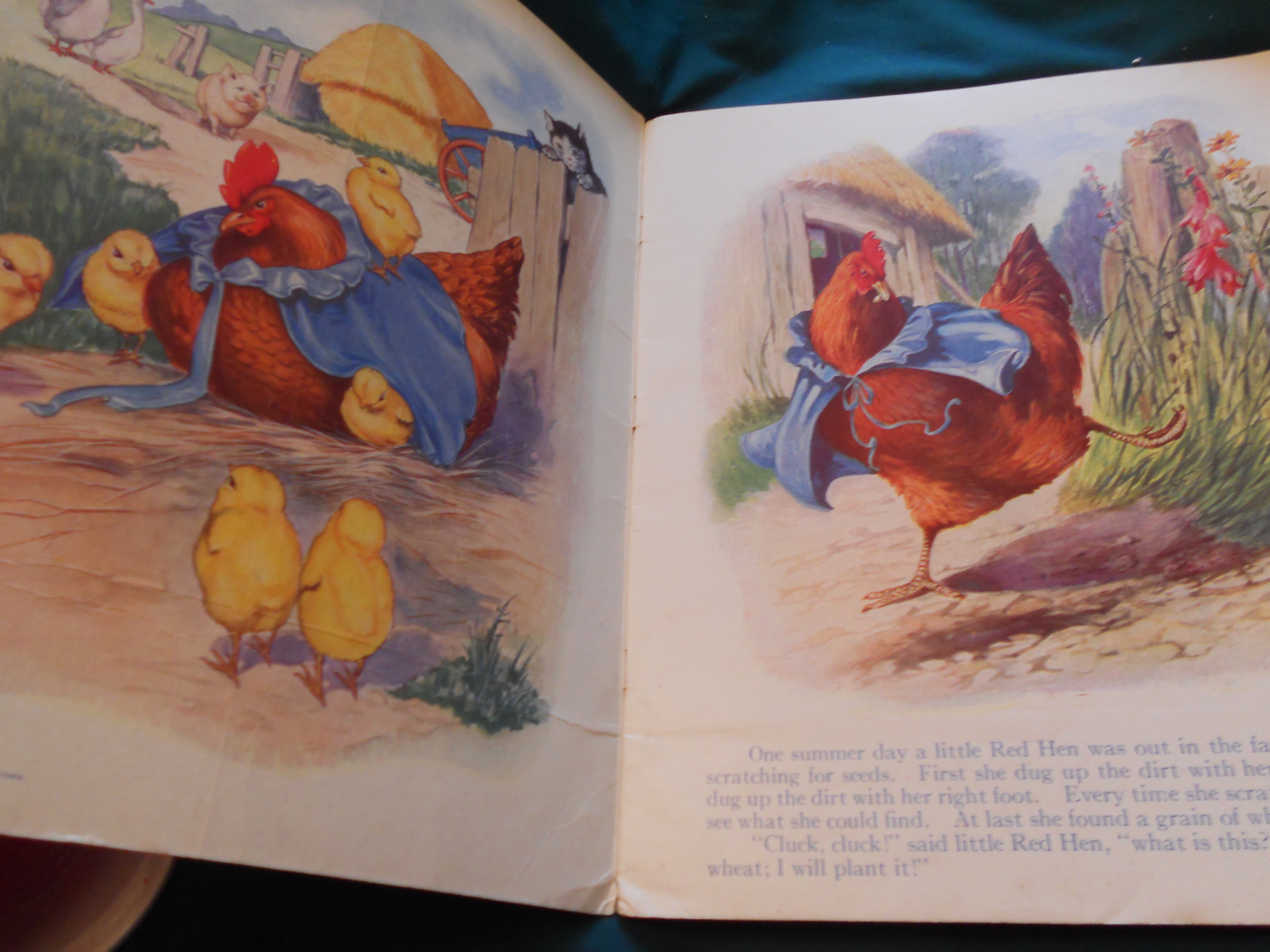 The Little Red Hen Book S. Gabriel & Sons