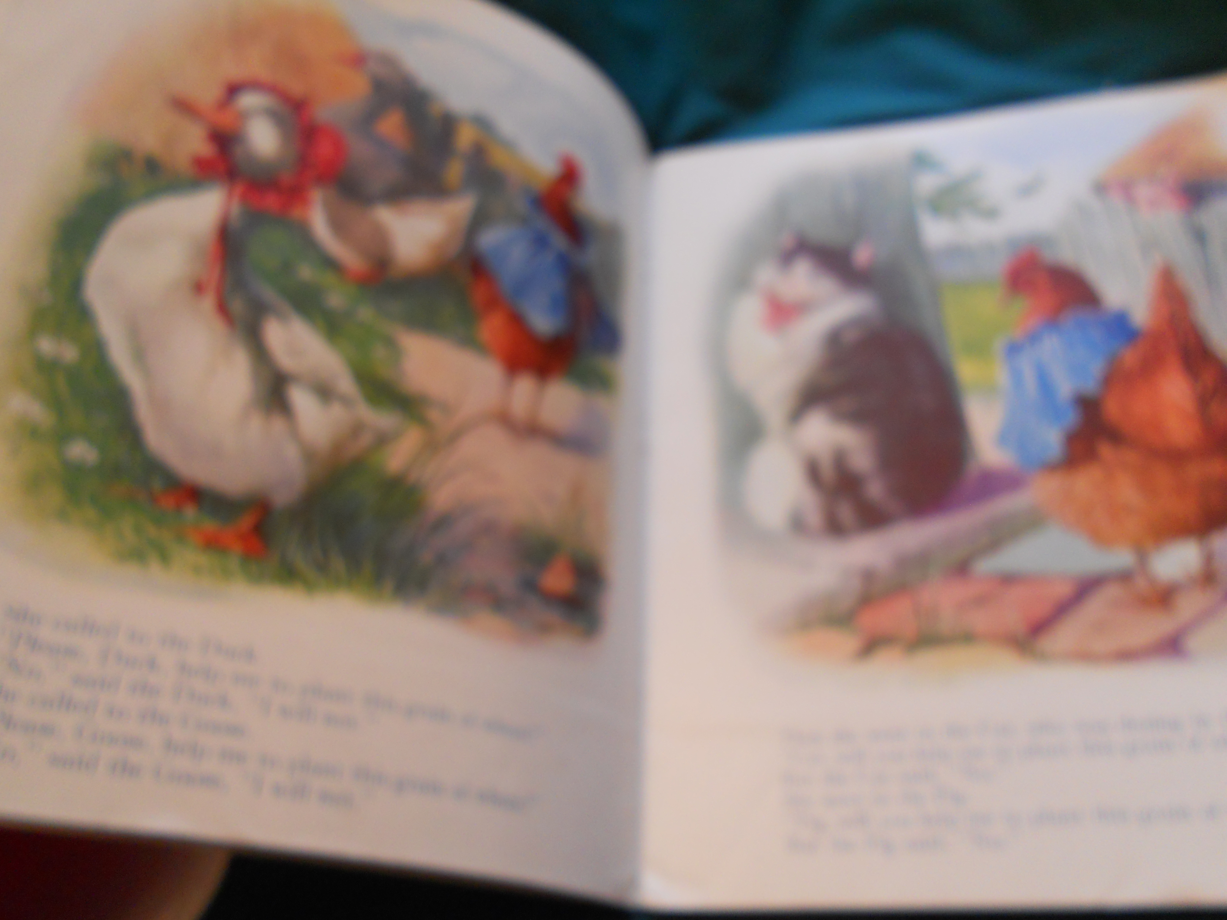 The Little Red Hen Book S. Gabriel & Sons