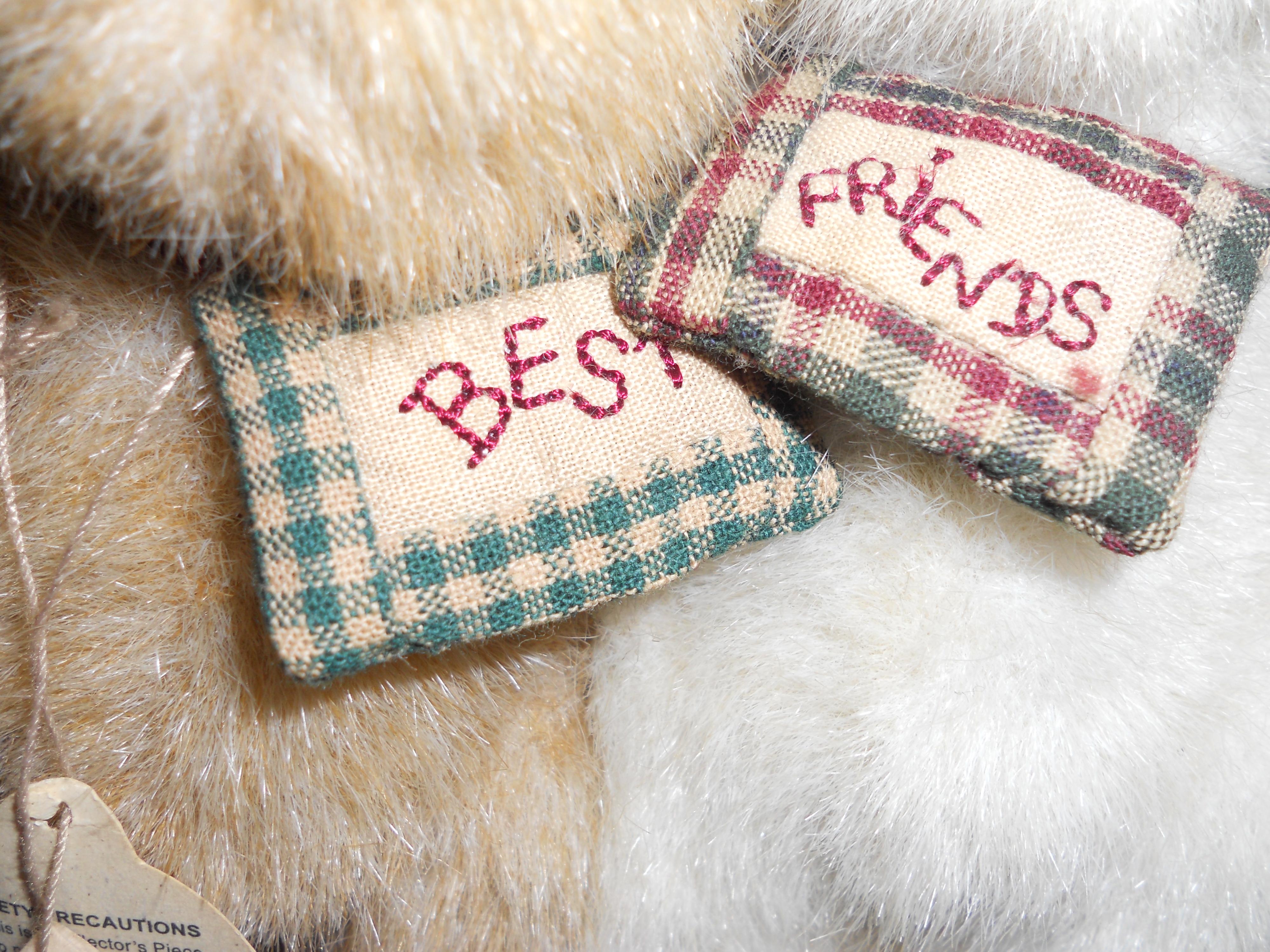 Boyd's Bear Best Friends TJs Best Dressed