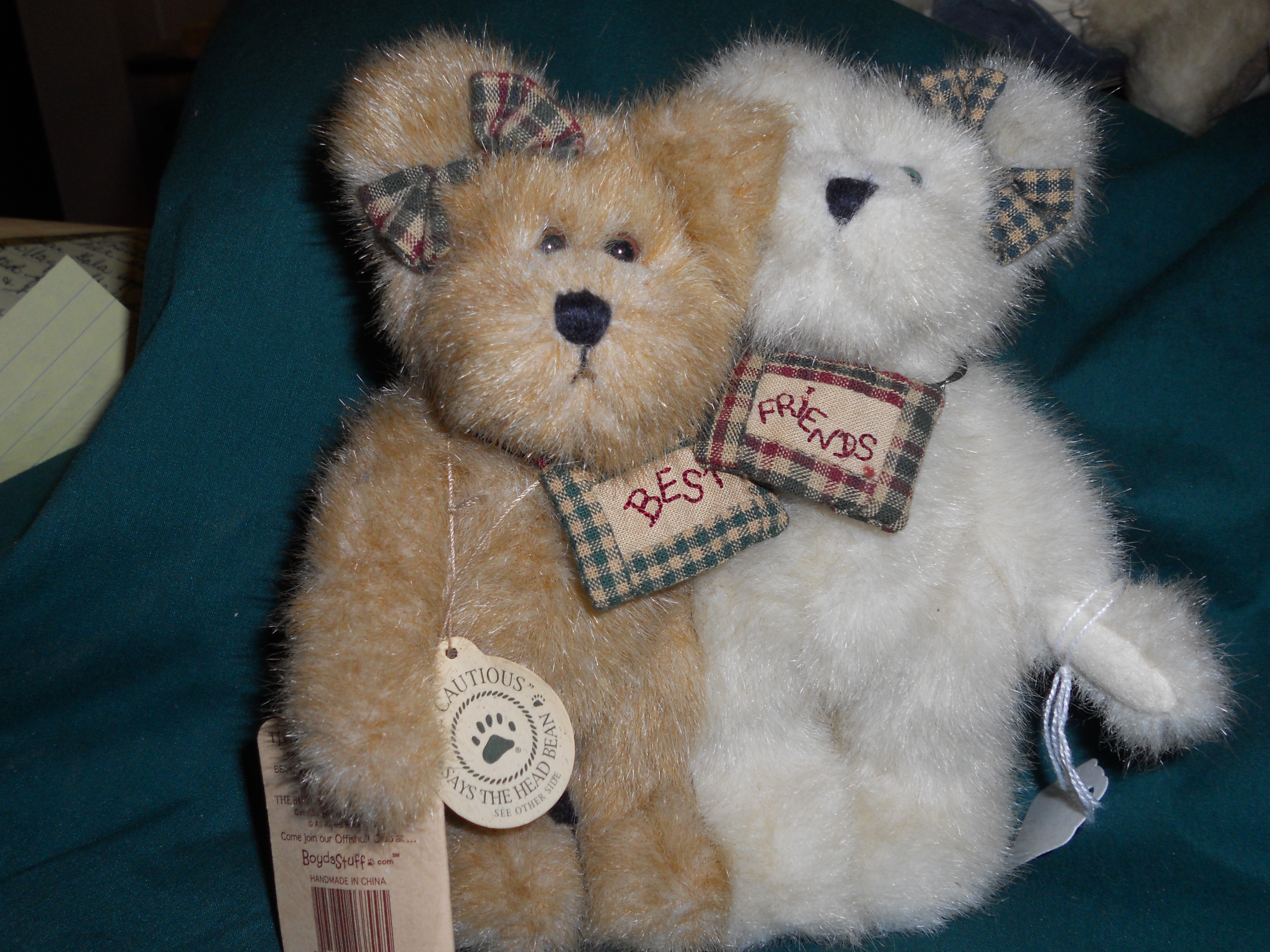 Boyd's Bear Best Friends TJs Best Dressed