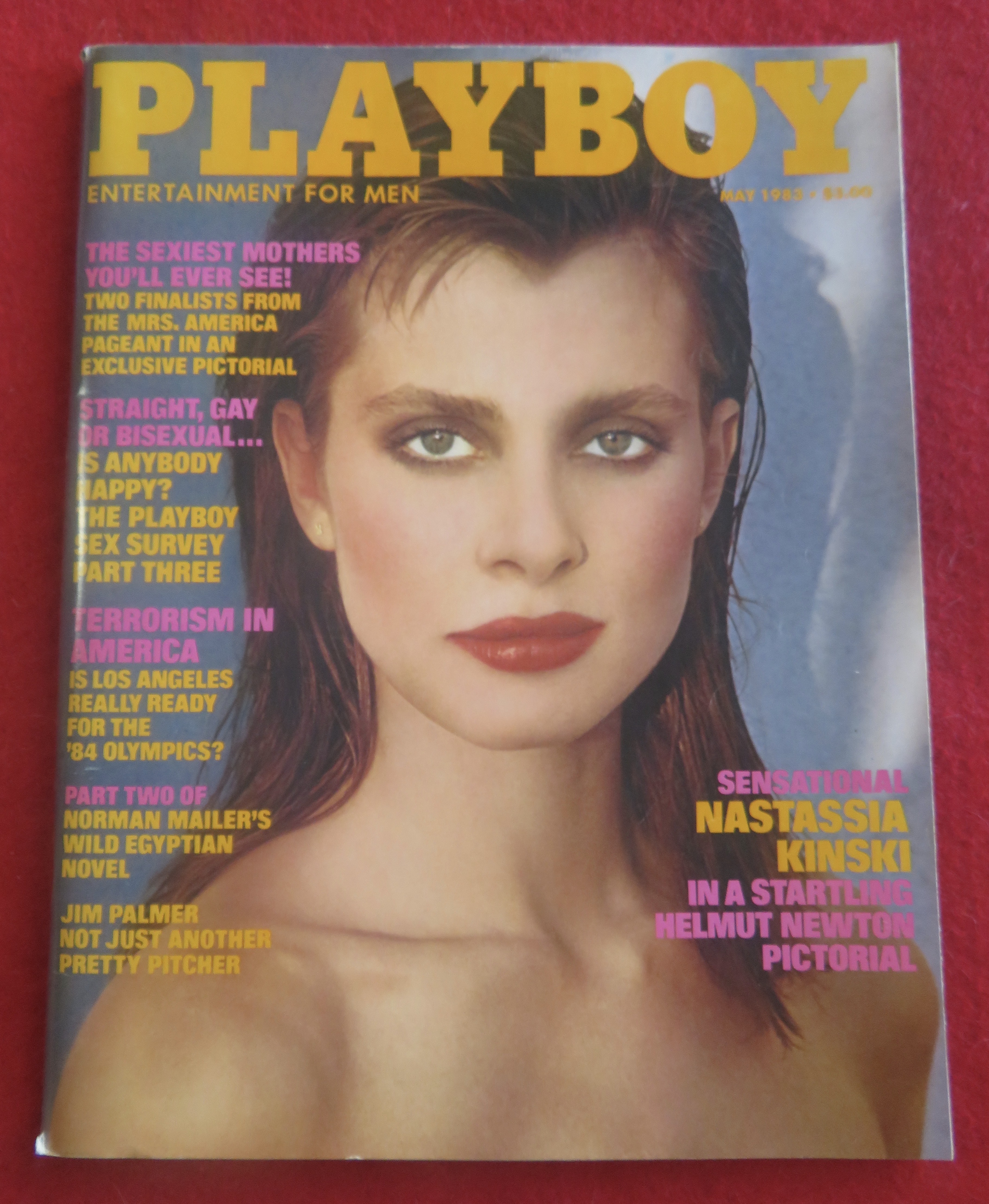 Playboy Magazine May 1983 Susie Scott