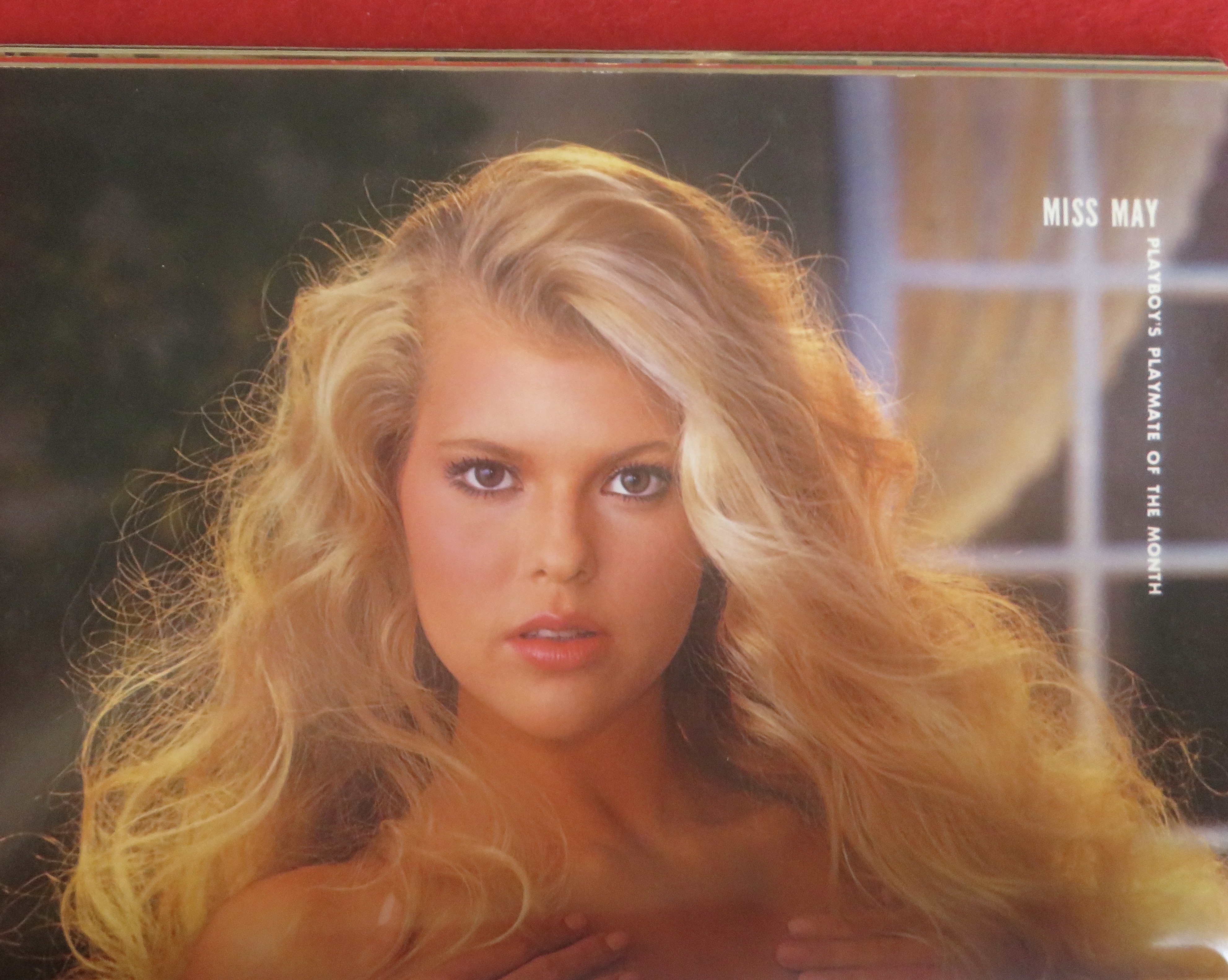 Playboy Magazine May 1983 Susie Scott