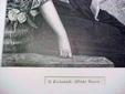 Wild Rose Lady Ornate Frame Engraving 1880's
