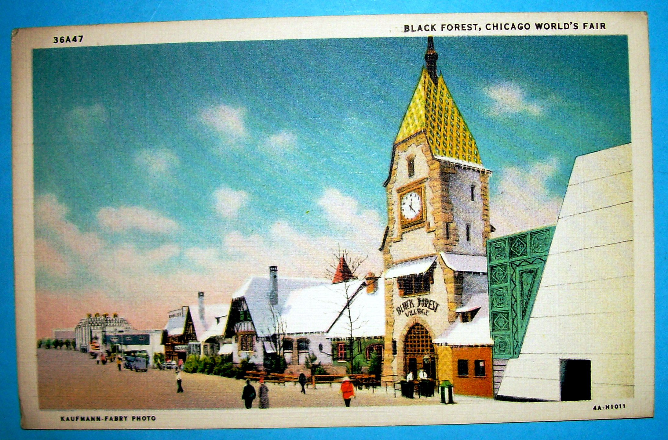 Black Forest Postcard (Century Of Progress)