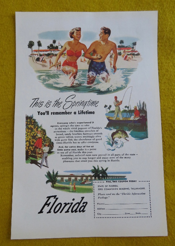 1950 Florida With The Spring Time