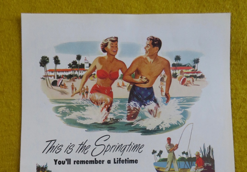 1950 Florida With The Spring Time