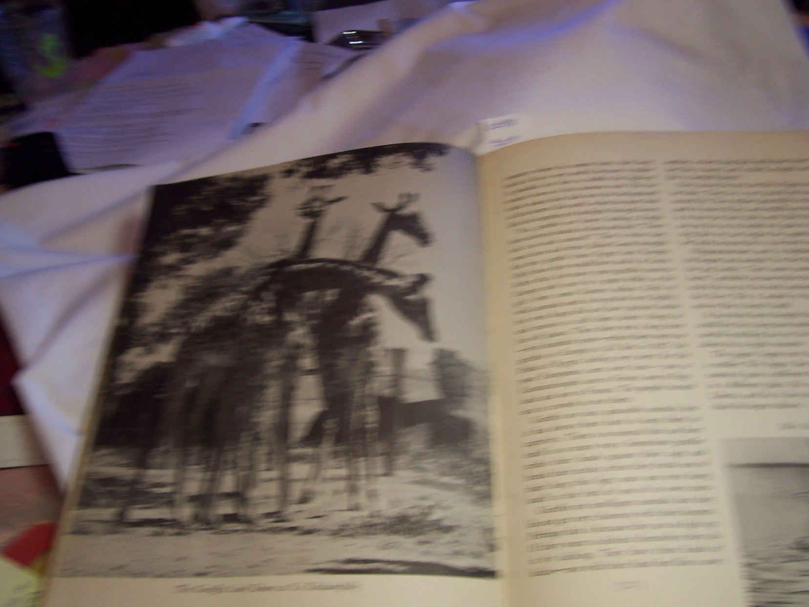 A Day At The Zoo Book by Ether Gould 1938