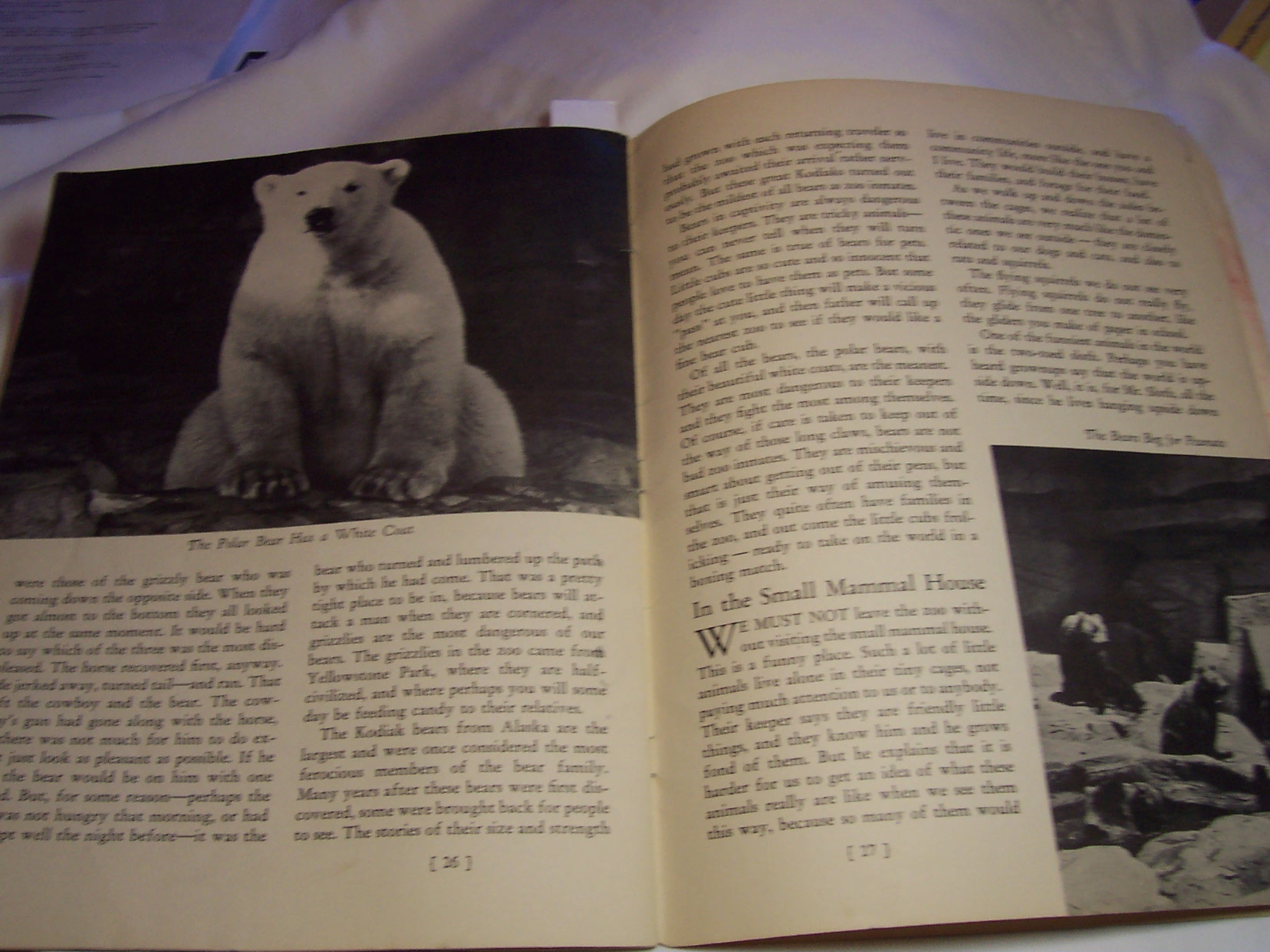 A Day At The Zoo Book by Ether Gould 1938