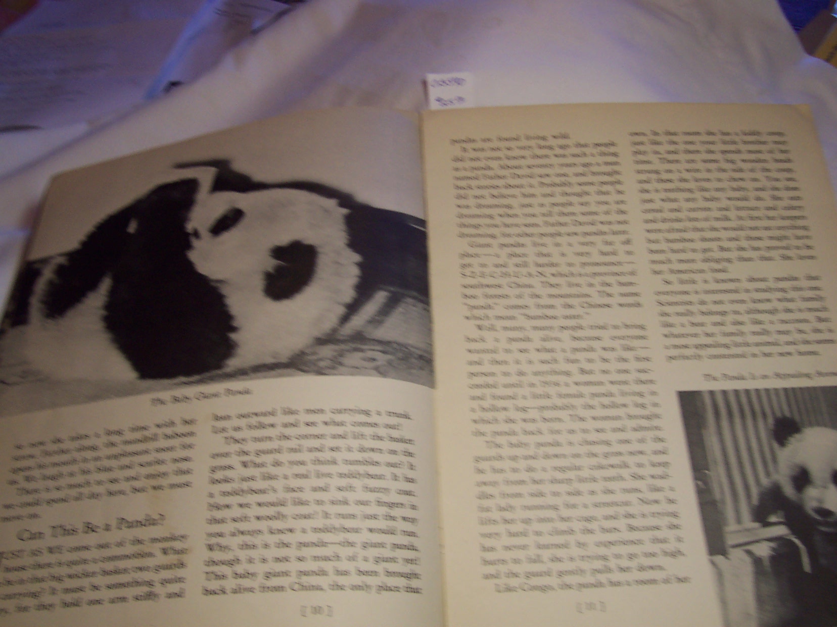 A Day At The Zoo Book by Ether Gould 1938