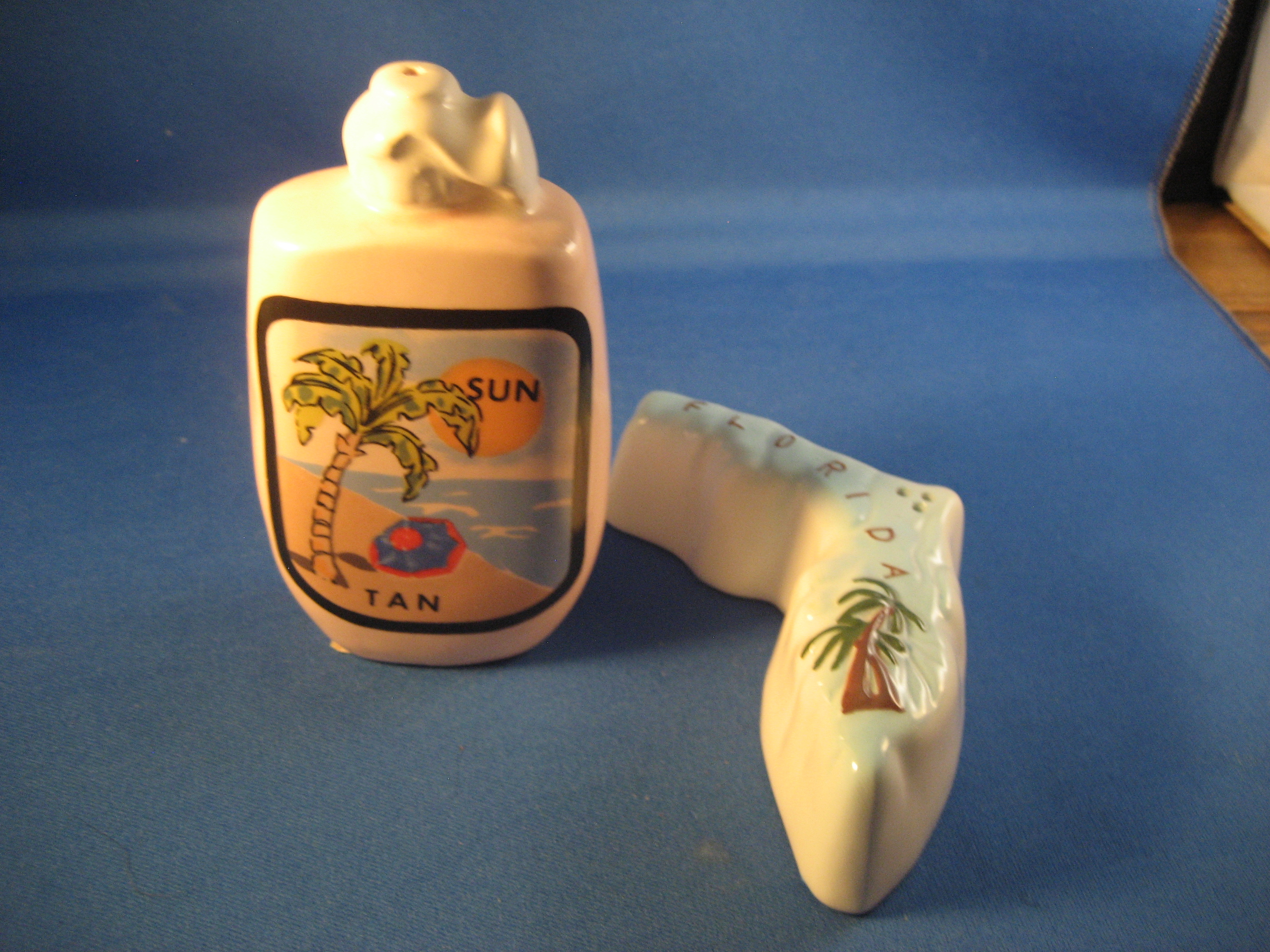 Florida State Salt and Pepper Shakers