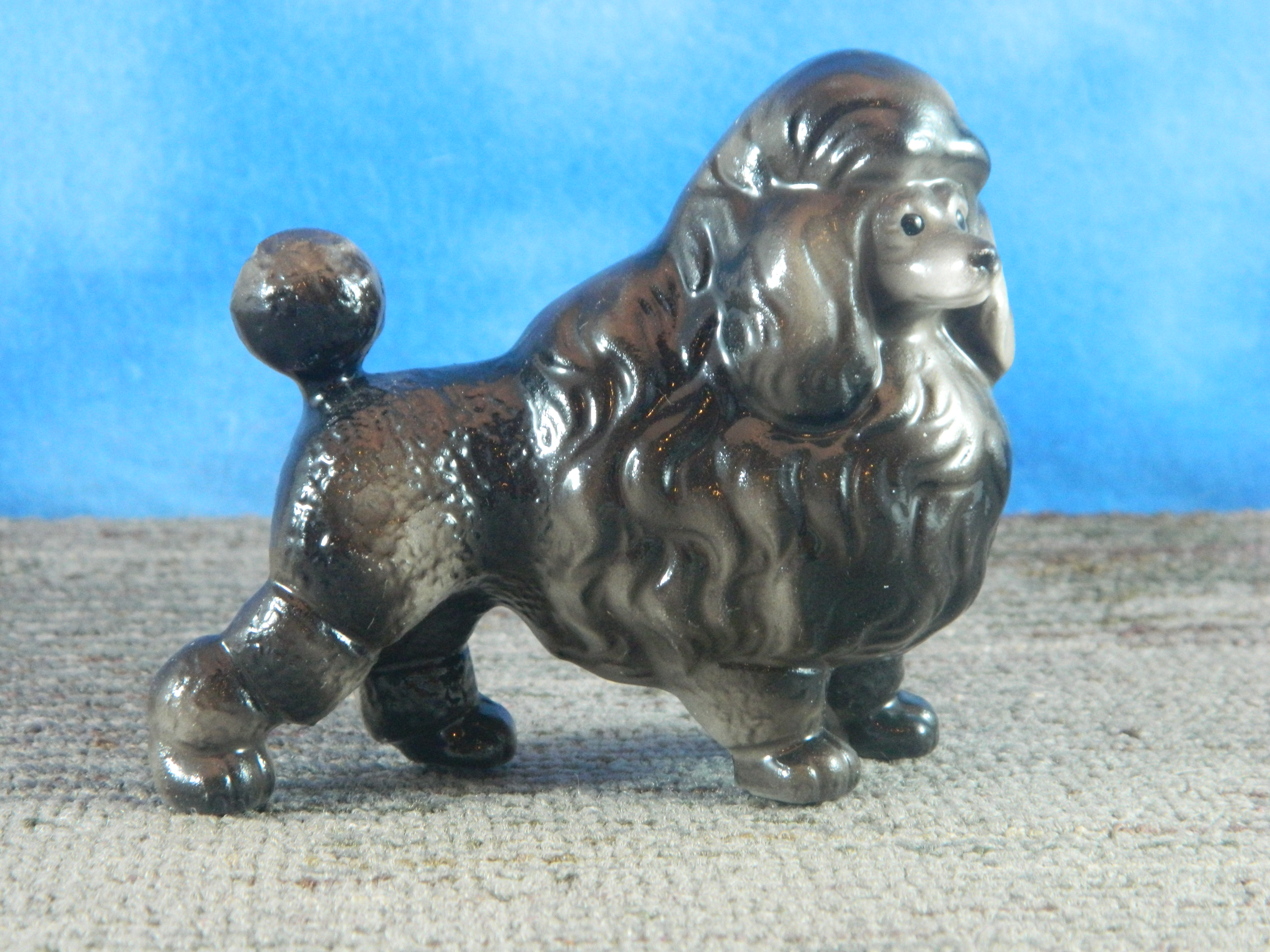 Black Poodle china standing