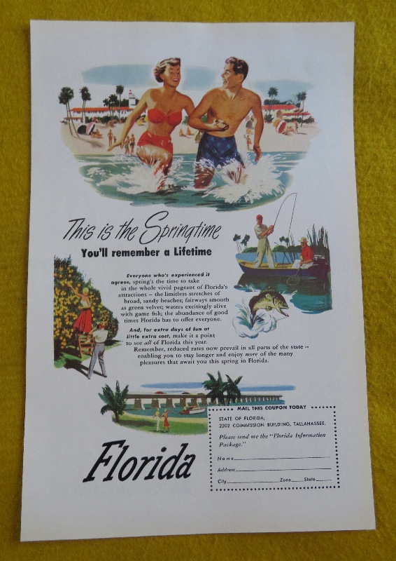 1950 Florida With The Spring Time