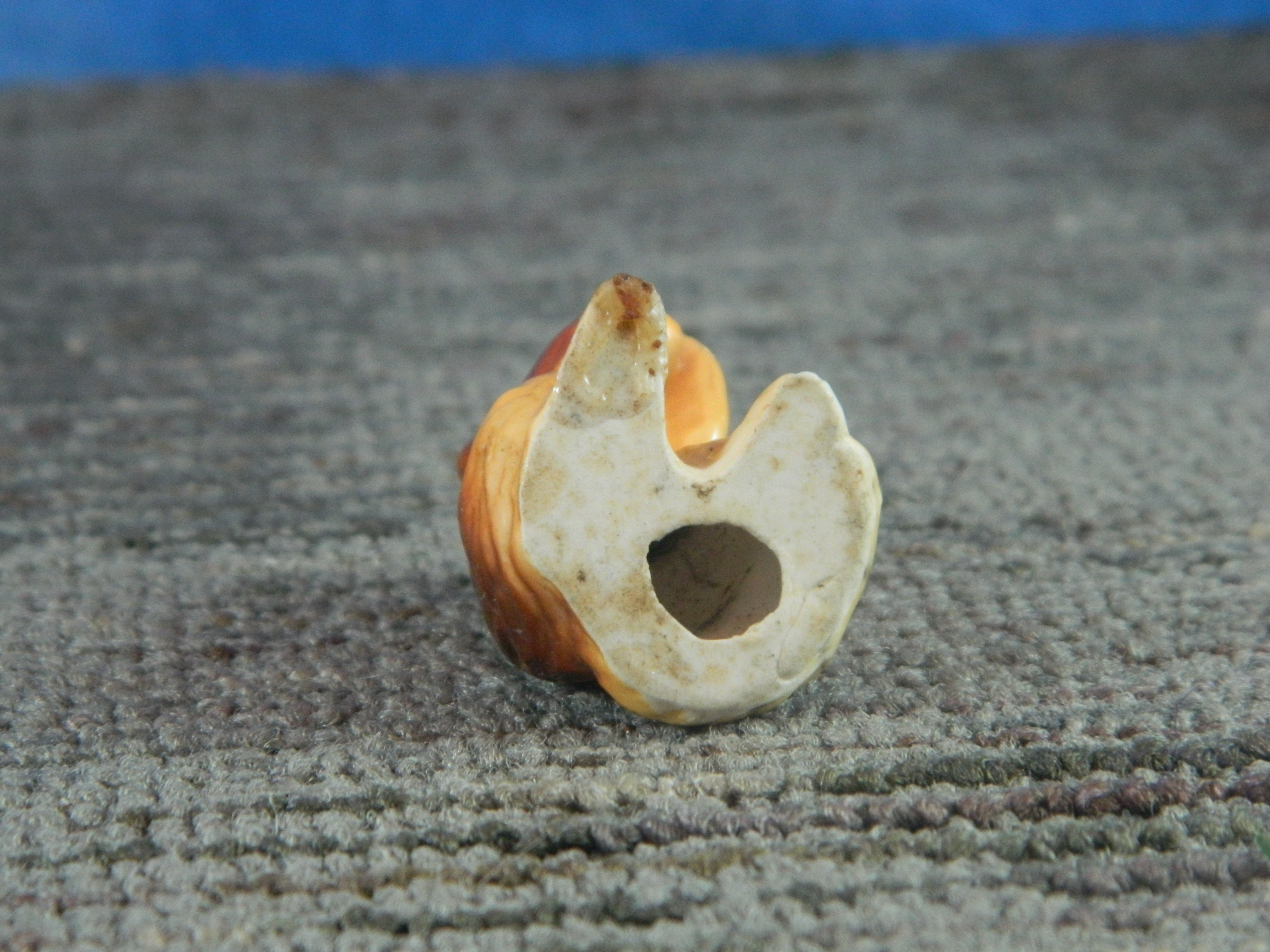 Bone China Miniature Raccoon