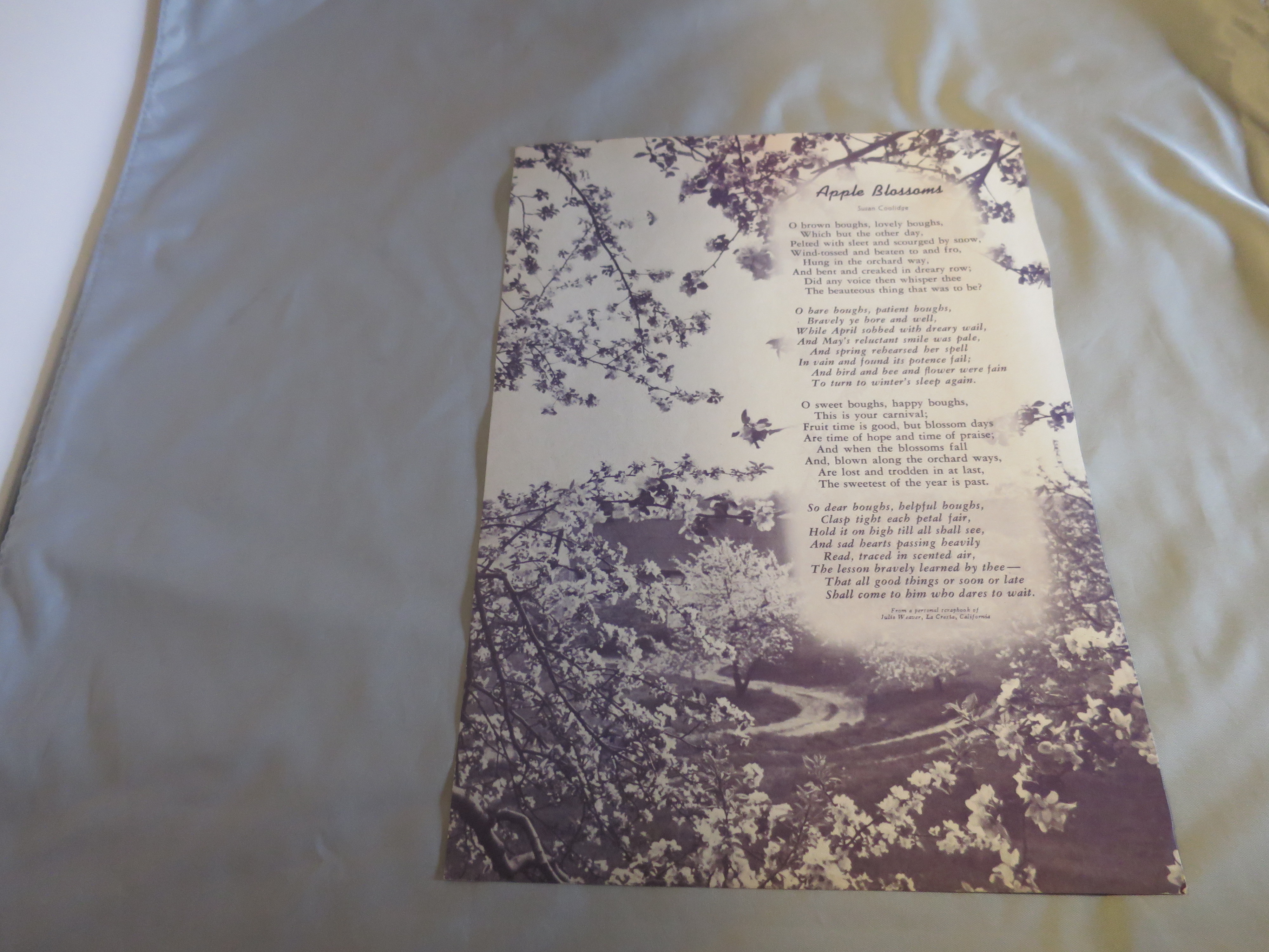 Floral Bouquet two Bouquet lithograph Book Print Ideal