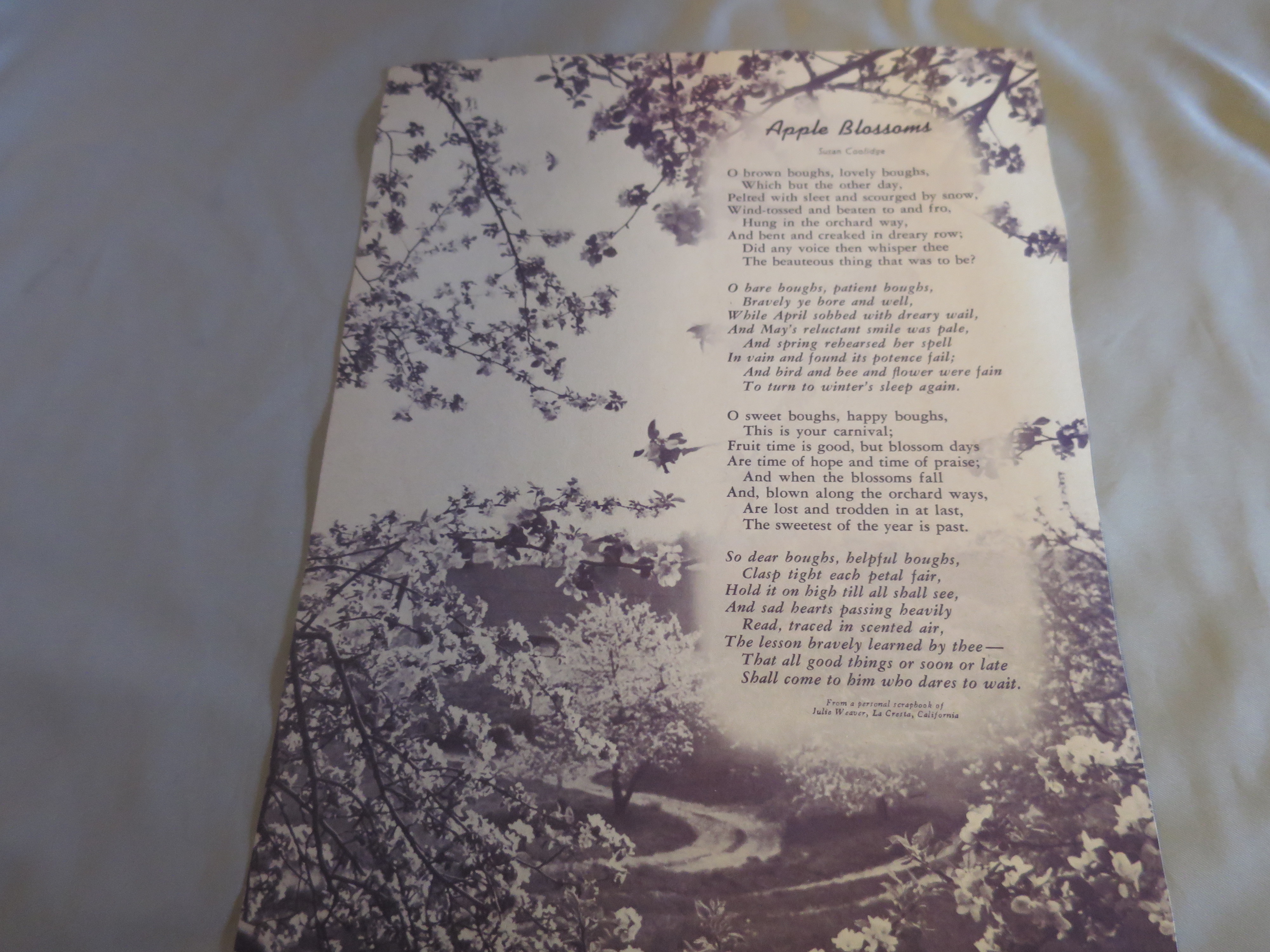 Floral Bouquet two Bouquet lithograph Book Print Ideal