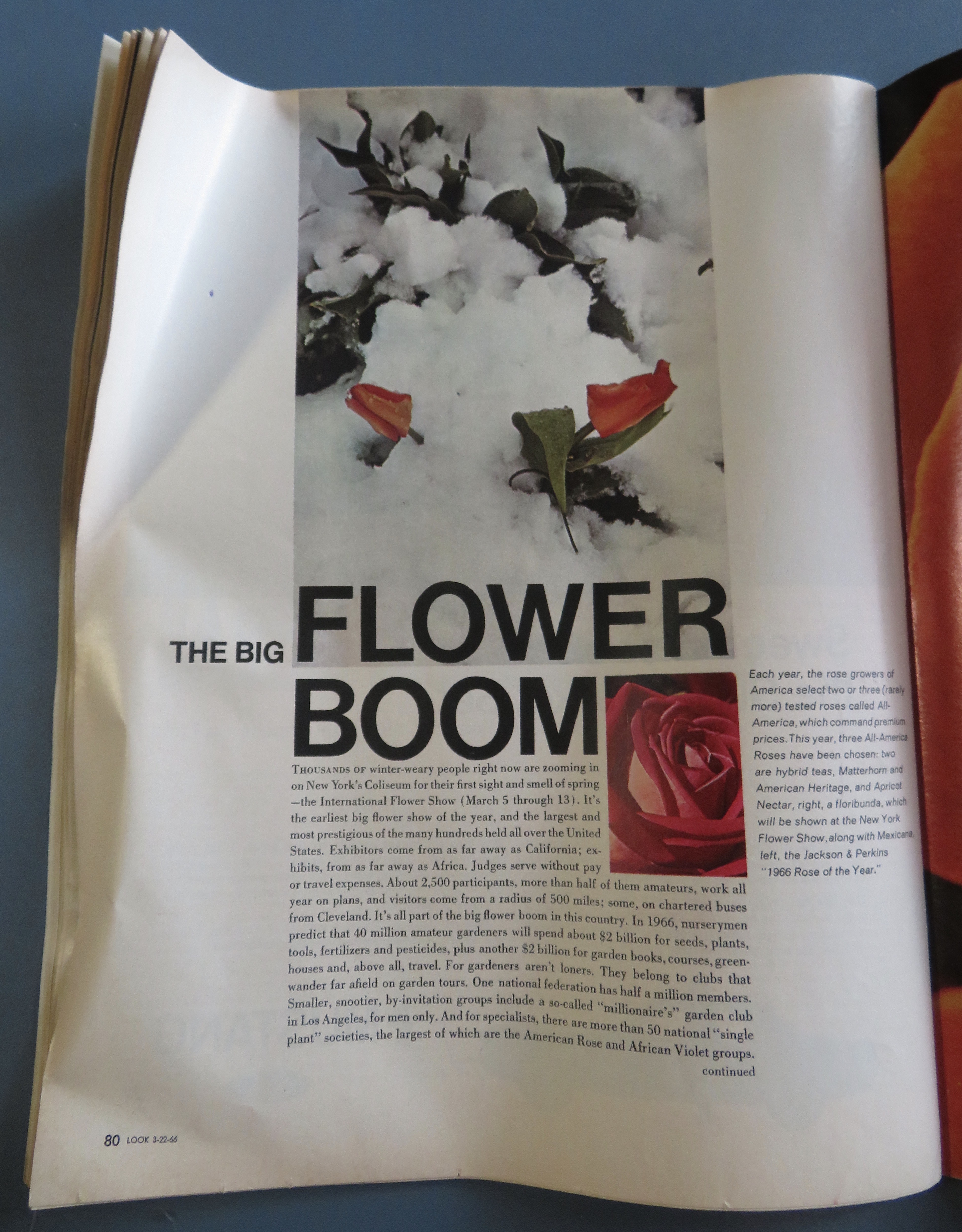 Look Magazine March 22, 1966 Jackie Kennedy Today