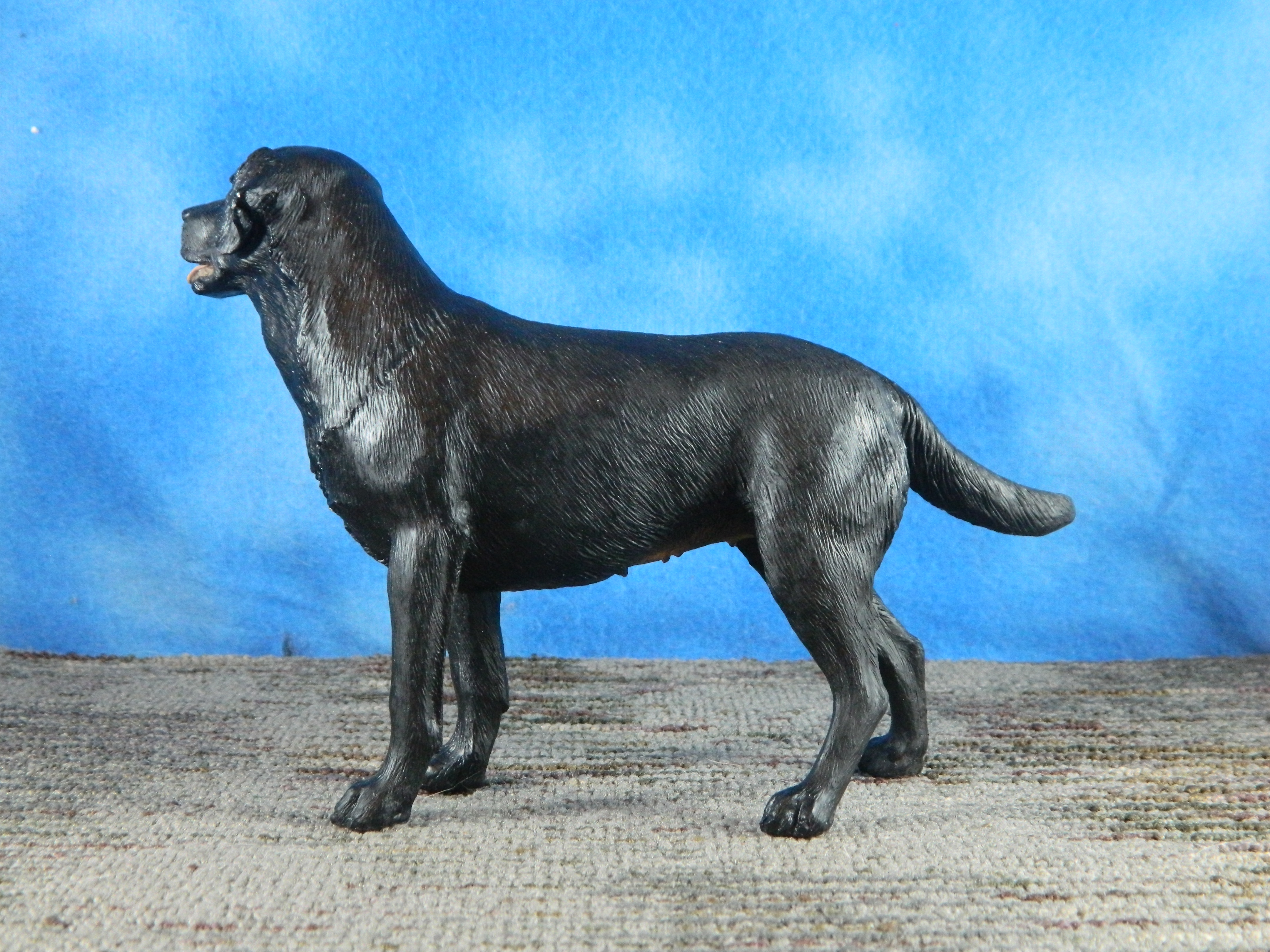 Border Fine Arts Standing Black Labrador