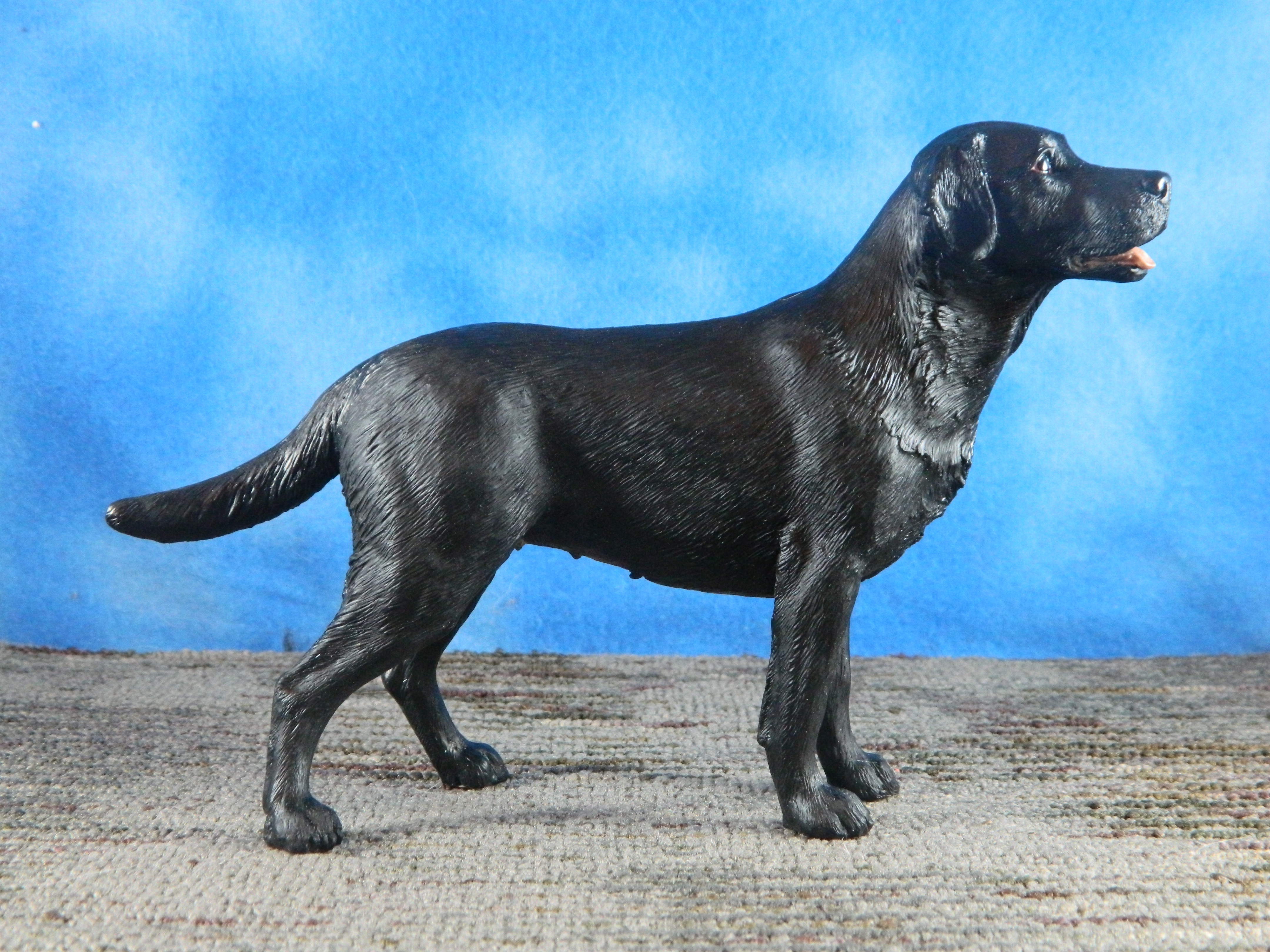 Border Fine Arts Standing Black Labrador